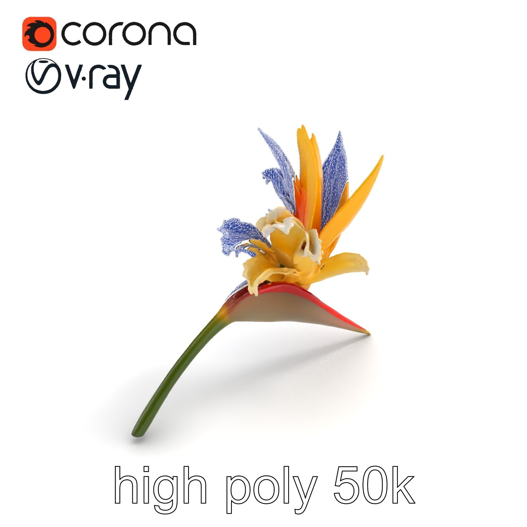 Double Strelitzia Flower Intricate Texture model pack Low-poly 3D model_10
