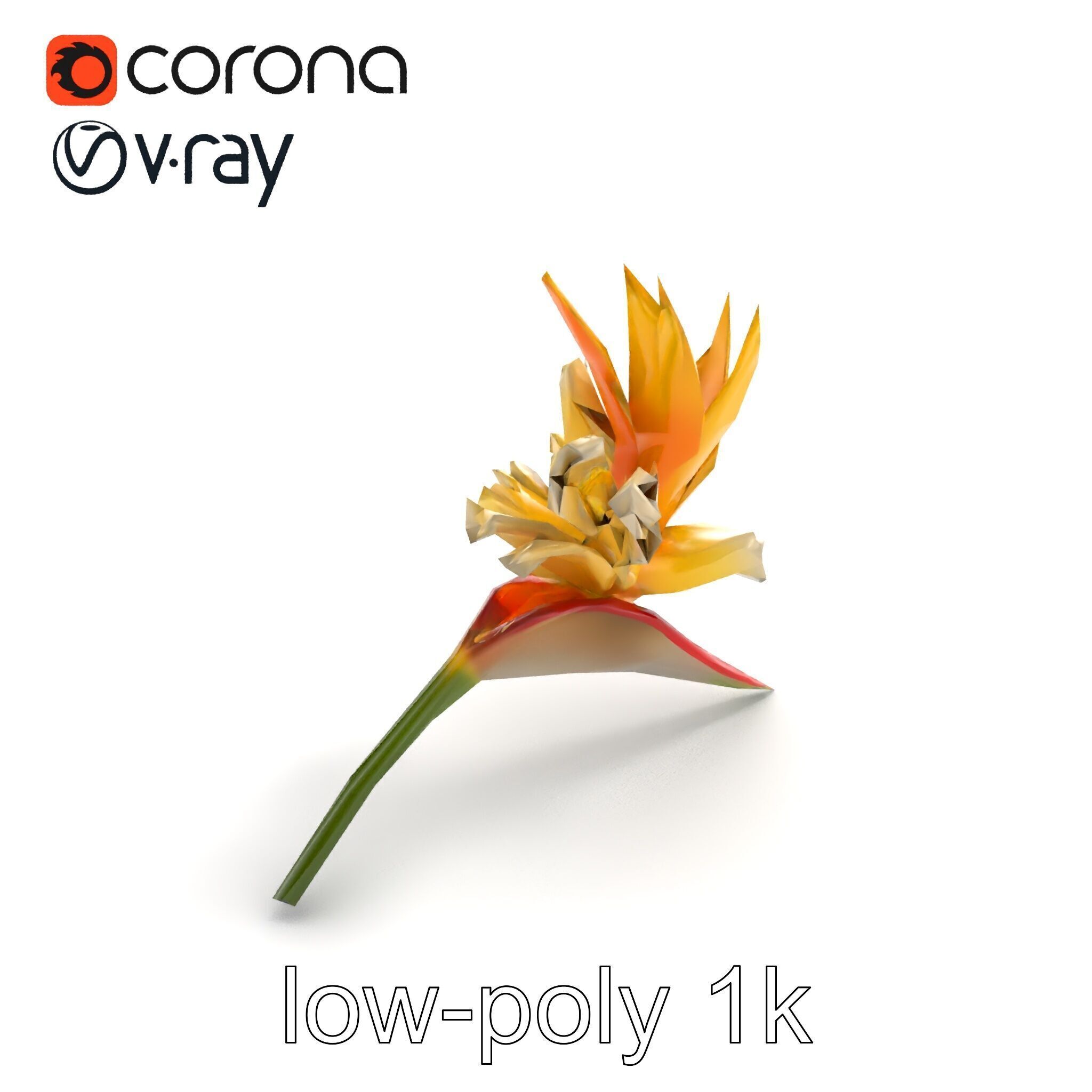 Double Strelitzia Flower Intricate Texture model pack Low-poly 3D model_8