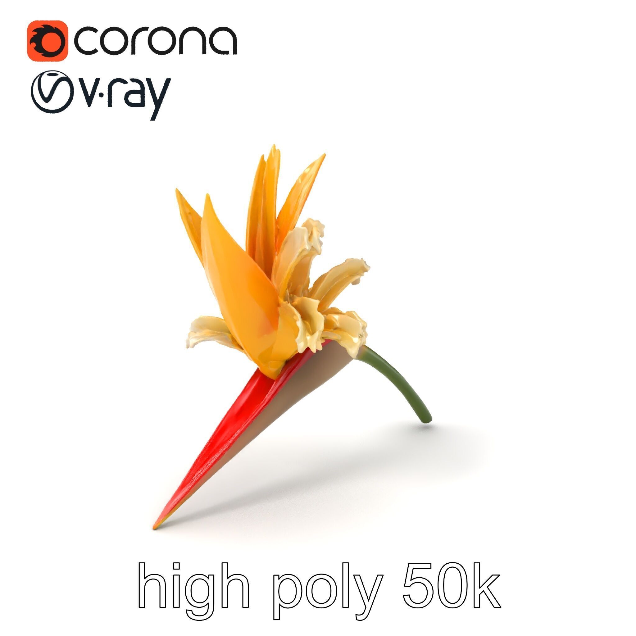 Double Strelitzia Flower Intricate Texture model pack Low-poly 3D model_2