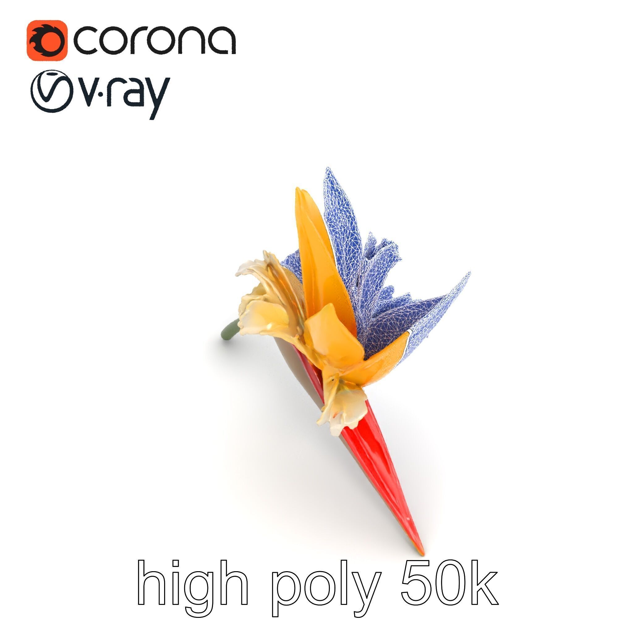 Double Strelitzia Flower Intricate Texture model pack Low-poly 3D model_20