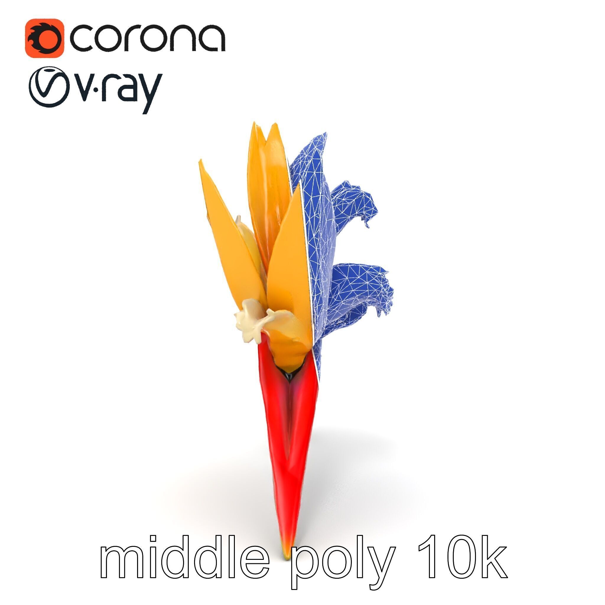 Double Strelitzia Flower Intricate Texture model pack Low-poly 3D model_24
