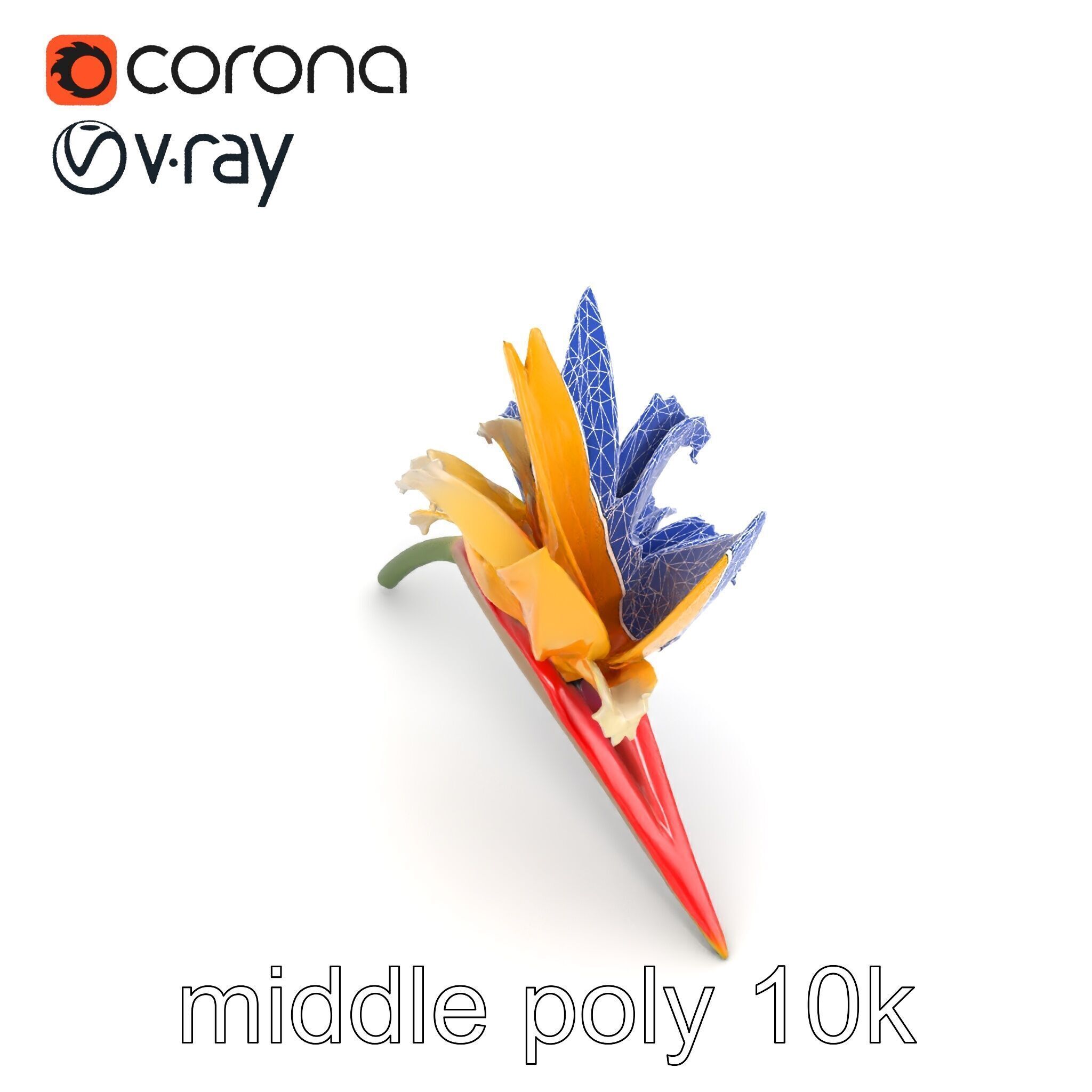 Double Strelitzia Flower Intricate Texture model pack Low-poly 3D model_22