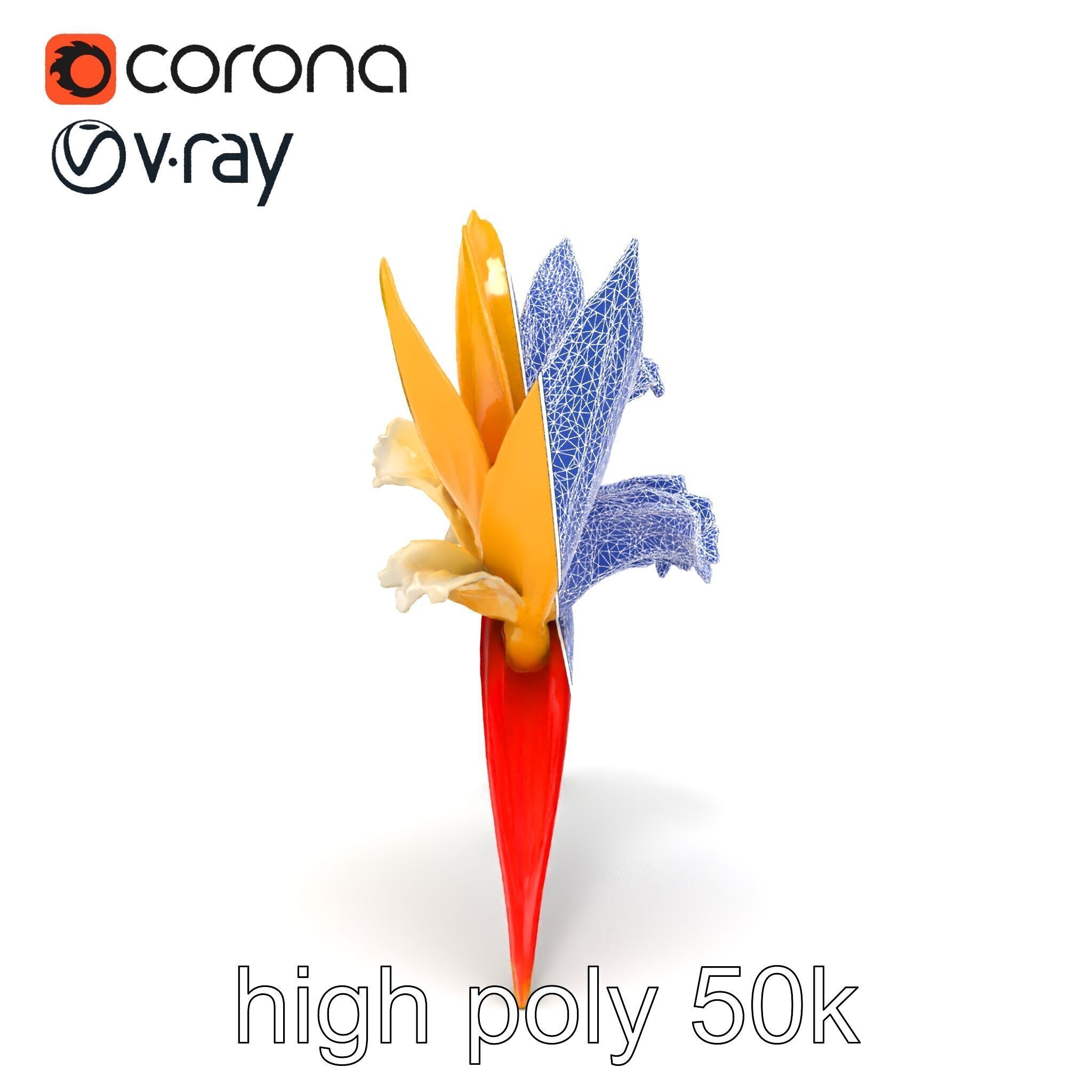 Double Strelitzia Flower Intricate Texture model pack Low-poly 3D model_27