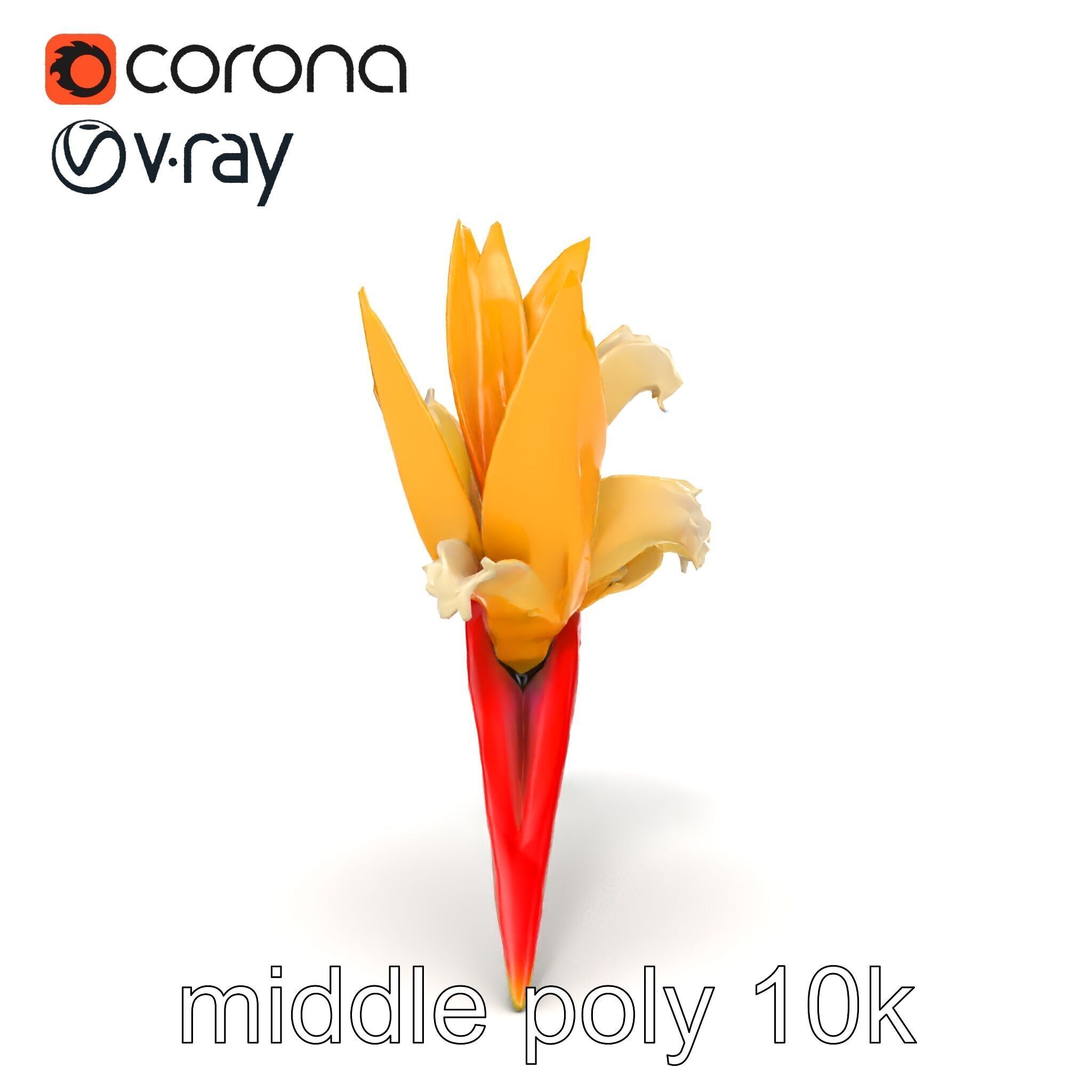 Double Strelitzia Flower Intricate Texture model pack Low-poly 3D model_18