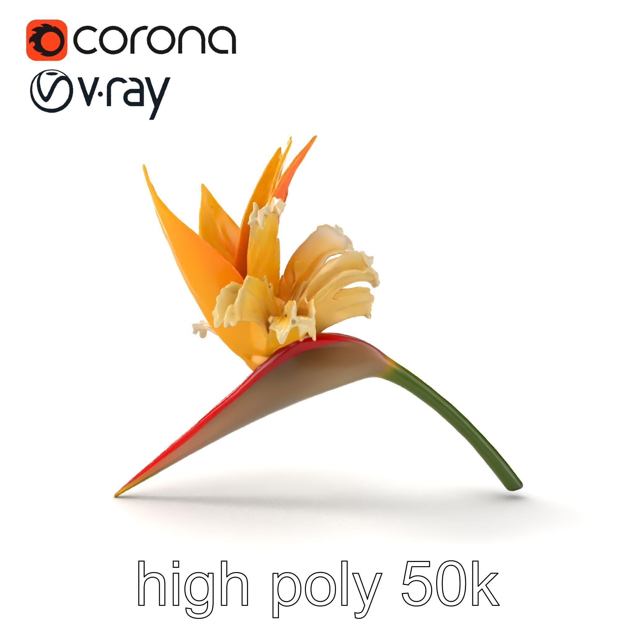 Double Strelitzia Flower Intricate Texture model pack Low-poly 3D model_15