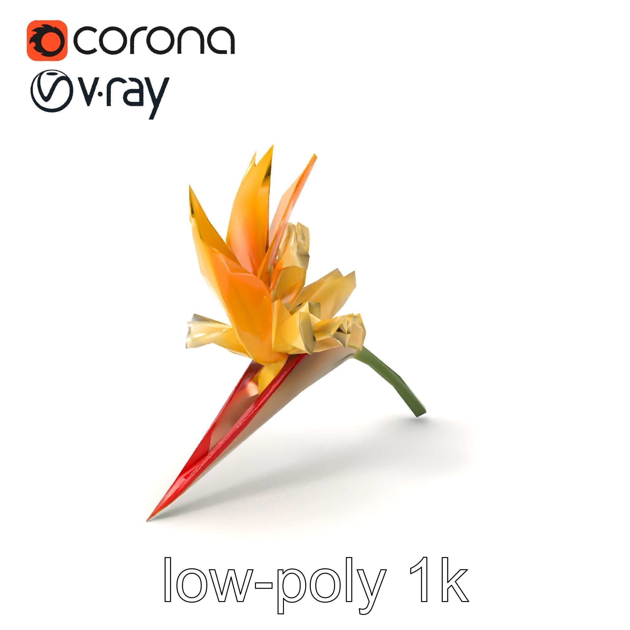 Double Strelitzia Flower Intricate Texture model pack Low-poly 3D model_4