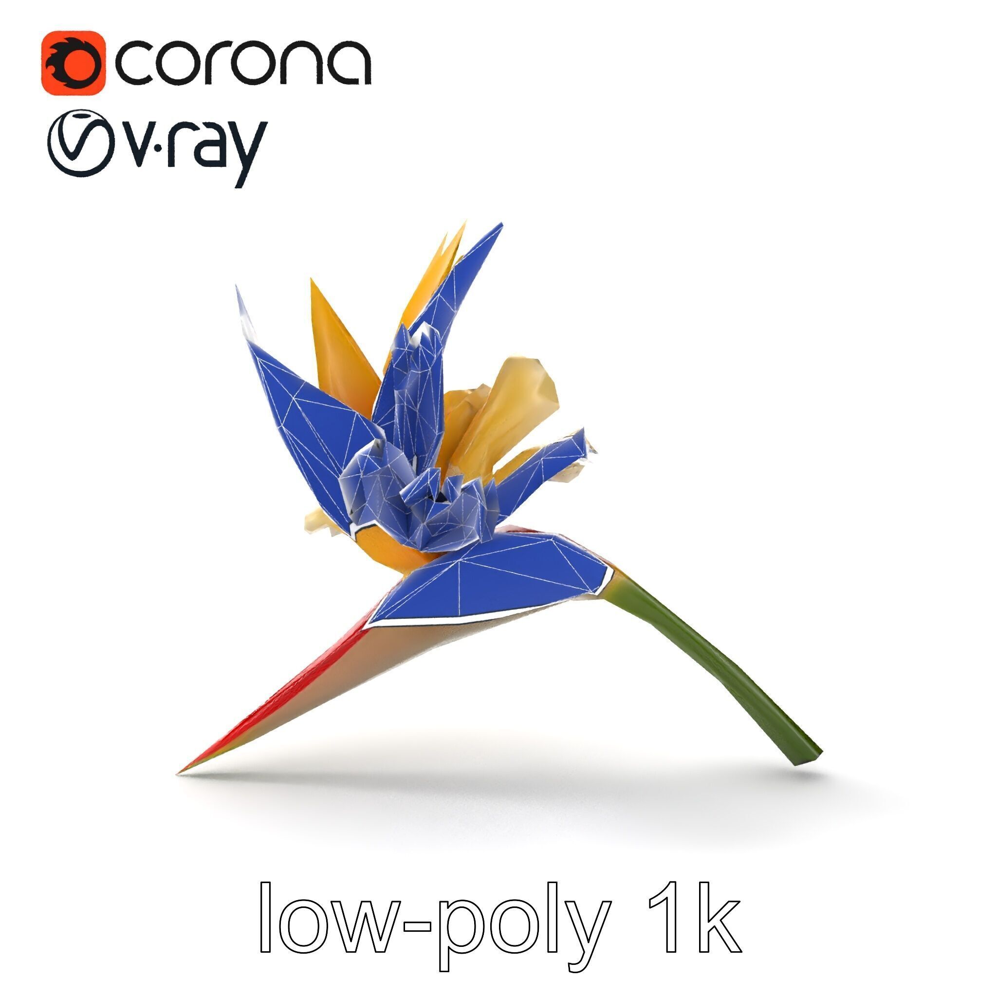 Double Strelitzia Flower Intricate Texture model pack Low-poly 3D model_21