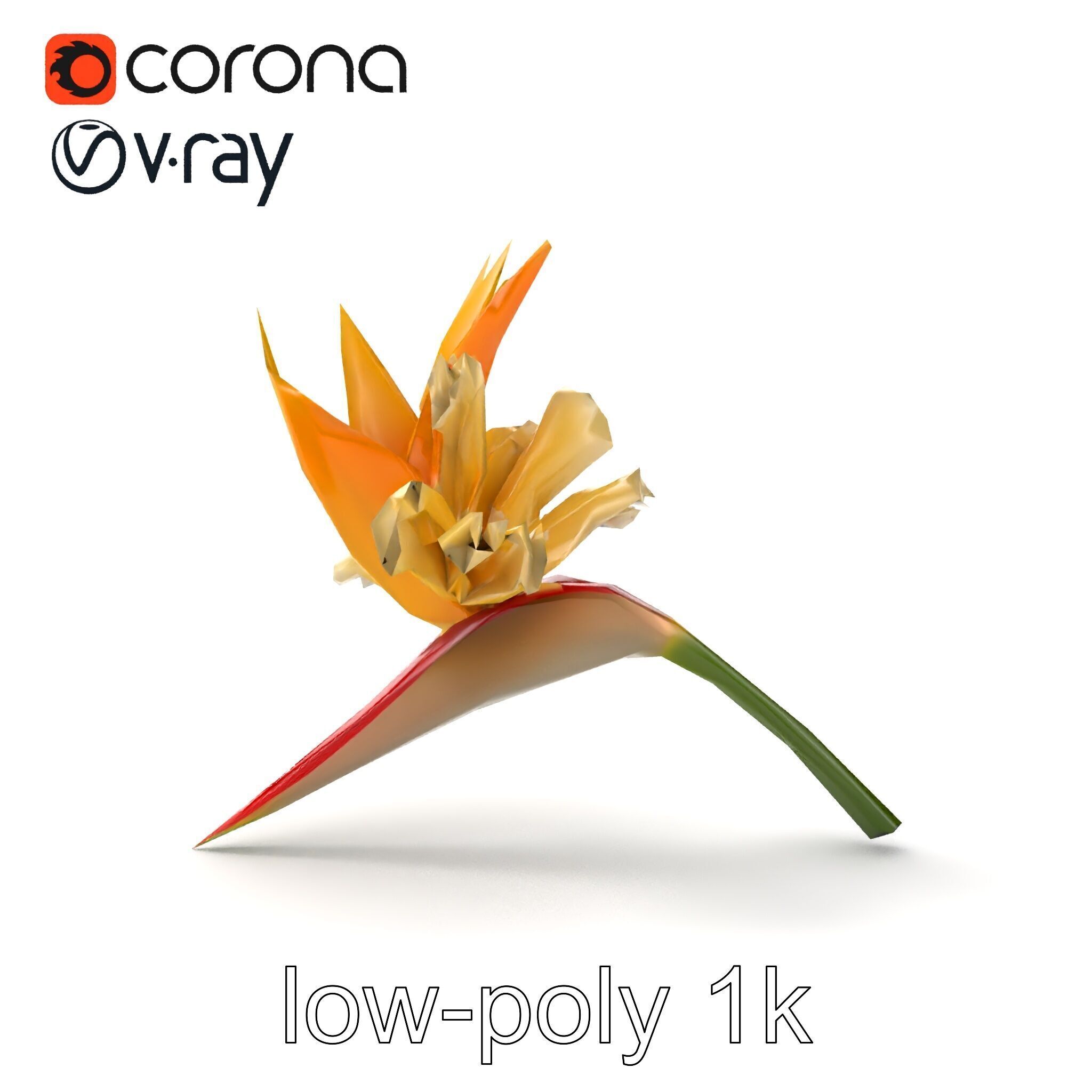 Double Strelitzia Flower Intricate Texture model pack Low-poly 3D model_25