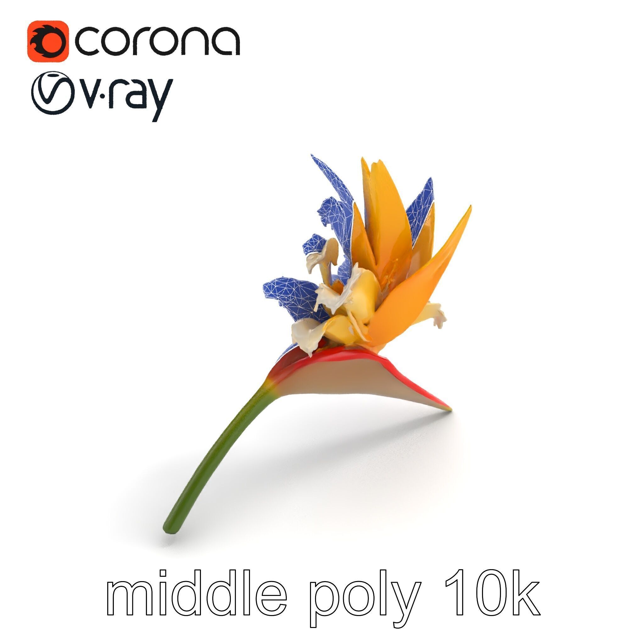 Double Strelitzia Flower Intricate Texture model pack Low-poly 3D model_16