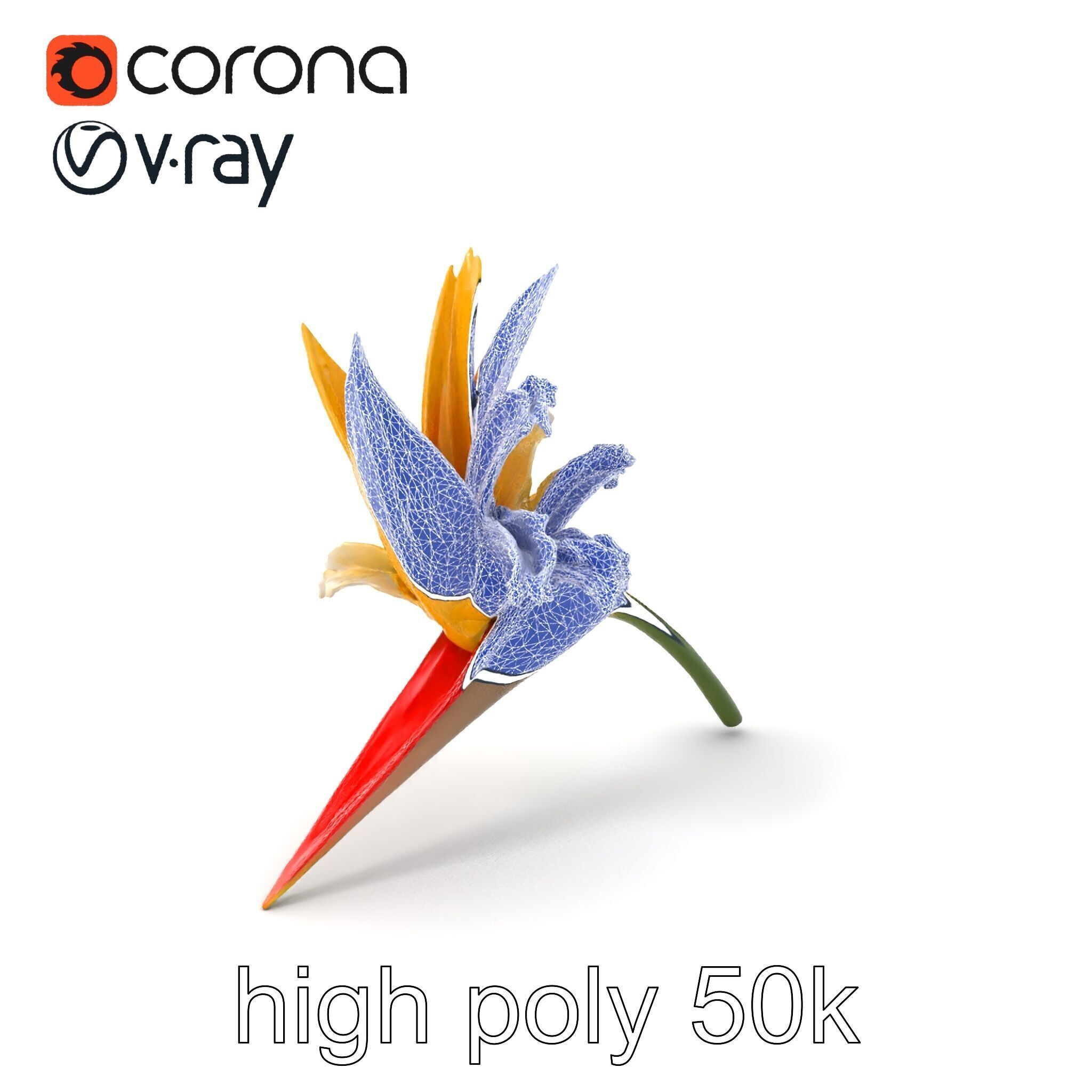 Double Strelitzia Flower Intricate Texture model pack Low-poly 3D model_1
