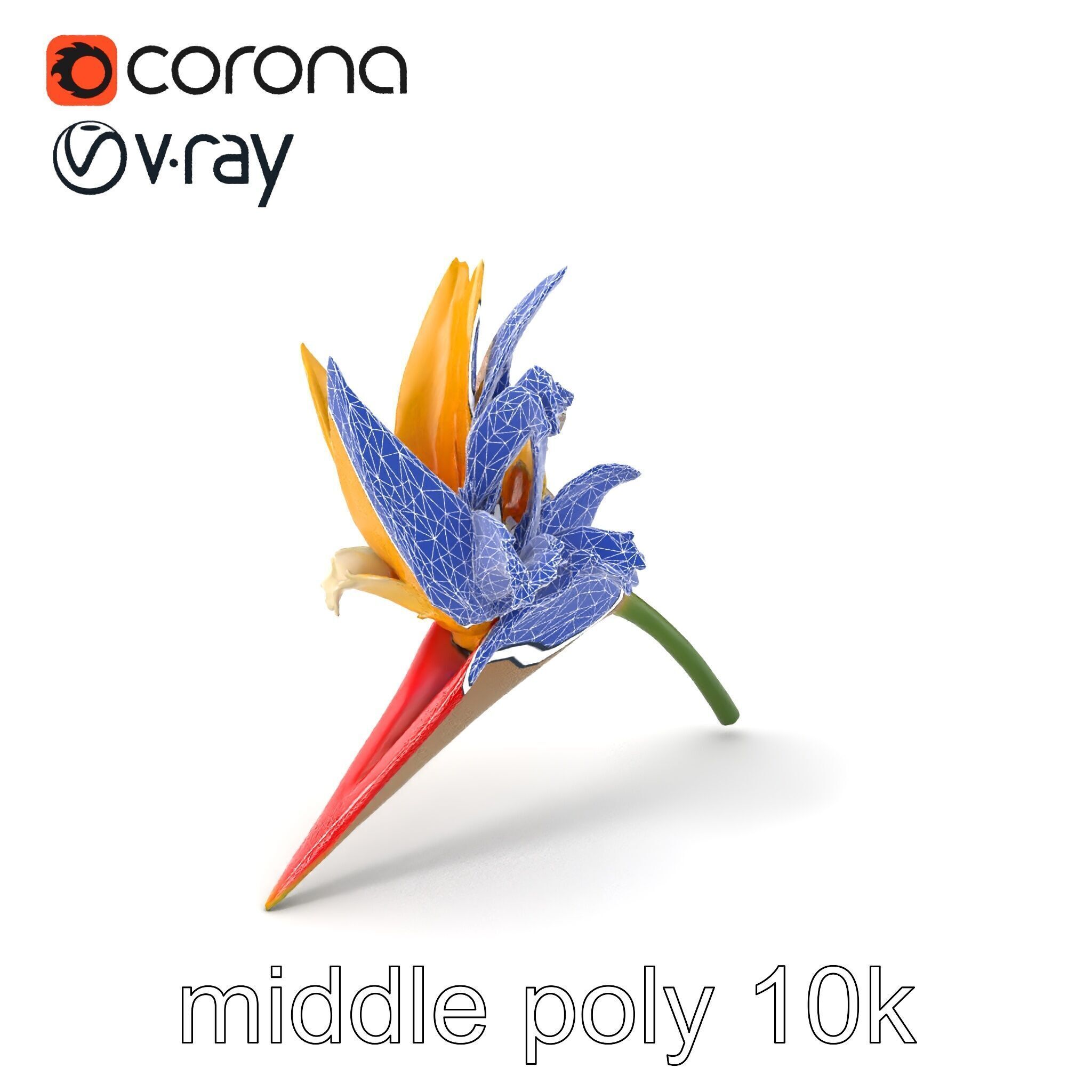 Double Strelitzia Flower Intricate Texture model pack Low-poly 3D model_5