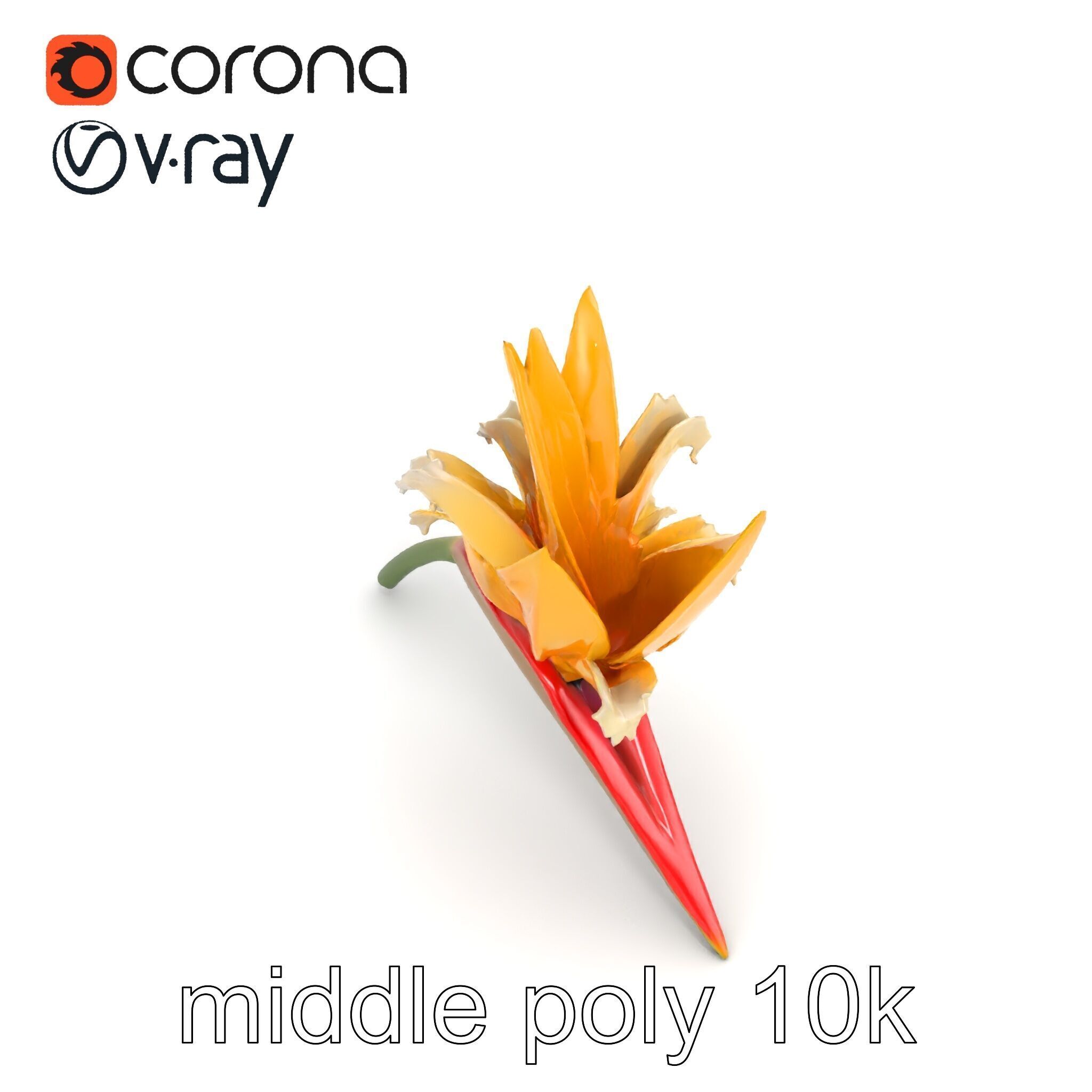 Double Strelitzia Flower Intricate Texture model pack Low-poly 3D model_12