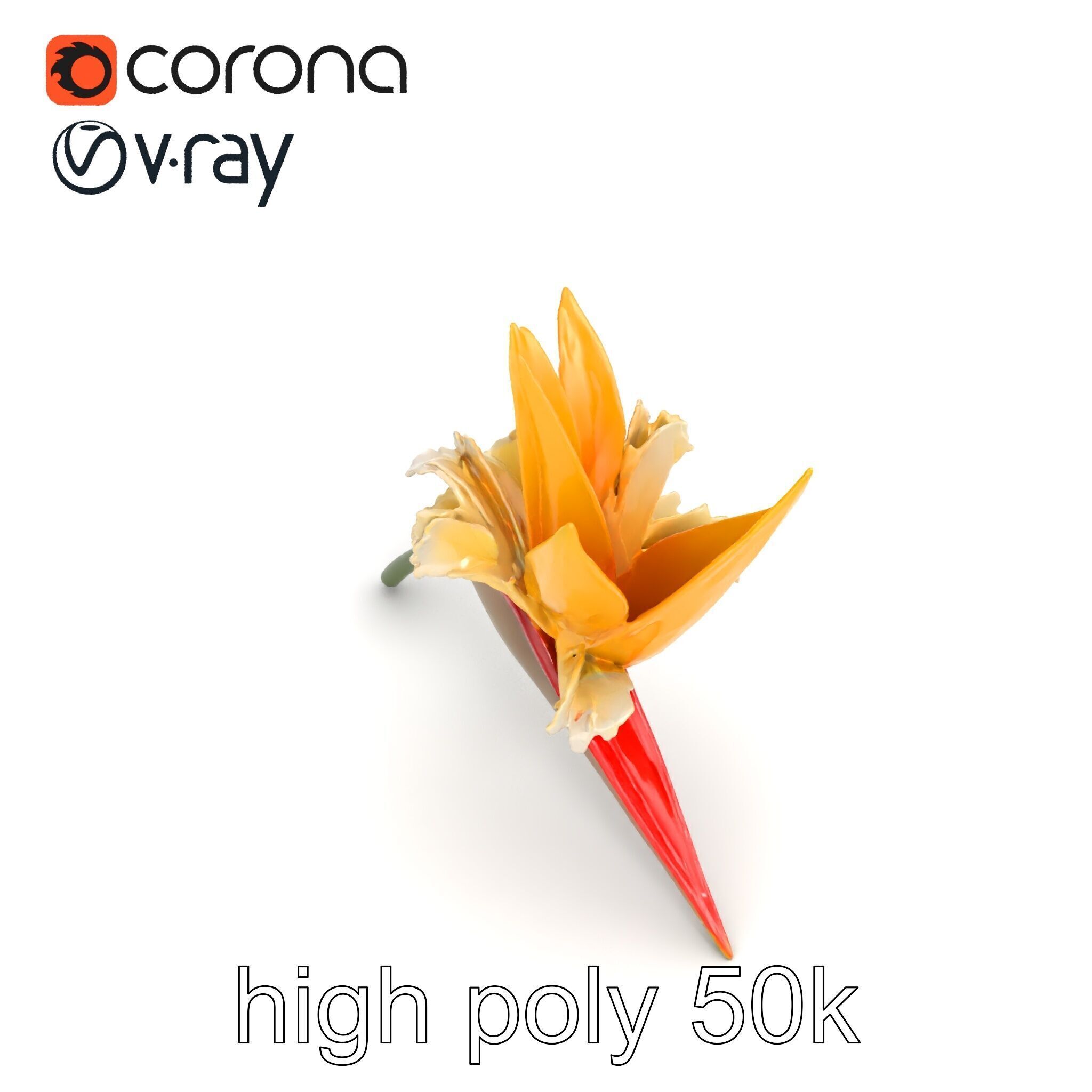 Double Strelitzia Flower Intricate Texture model pack Low-poly 3D model_30