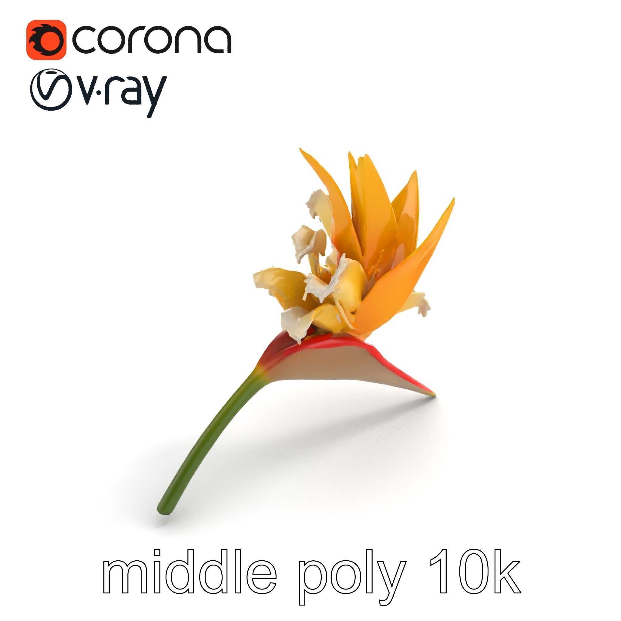 Double Strelitzia Flower Intricate Texture model pack Low-poly 3D model_7