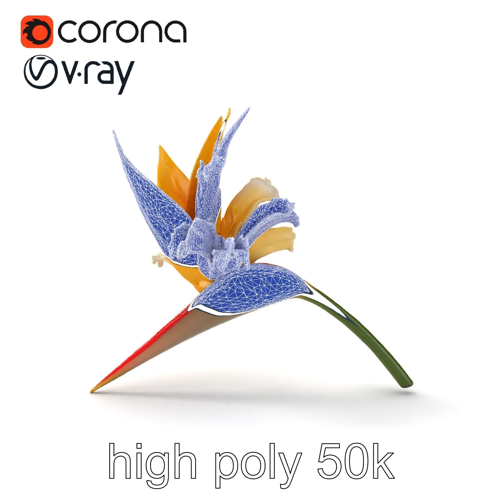 Double Strelitzia Flower Intricate Texture model pack Low-poly 3D model_19