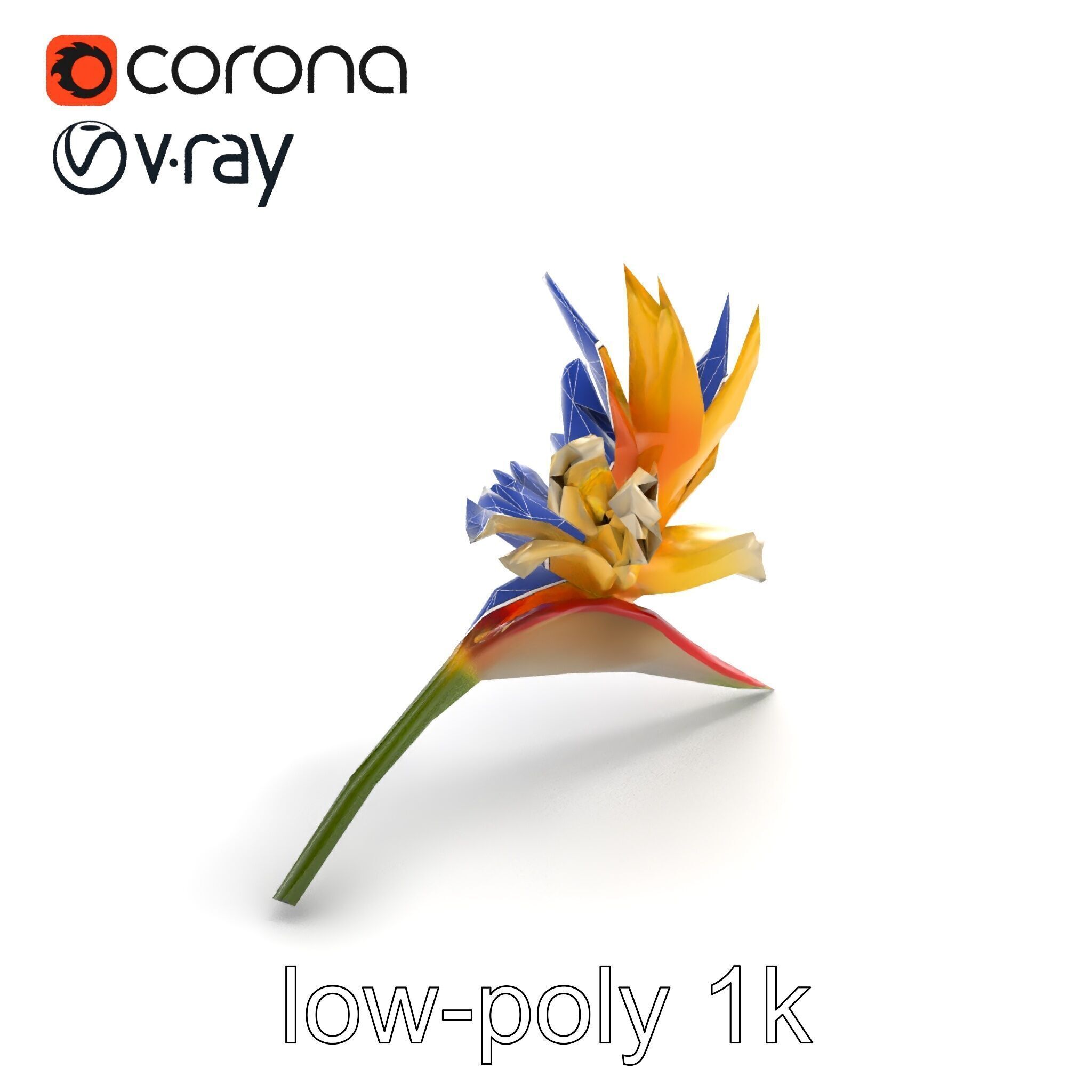 Double Strelitzia Flower Intricate Texture model pack Low-poly 3D model_17