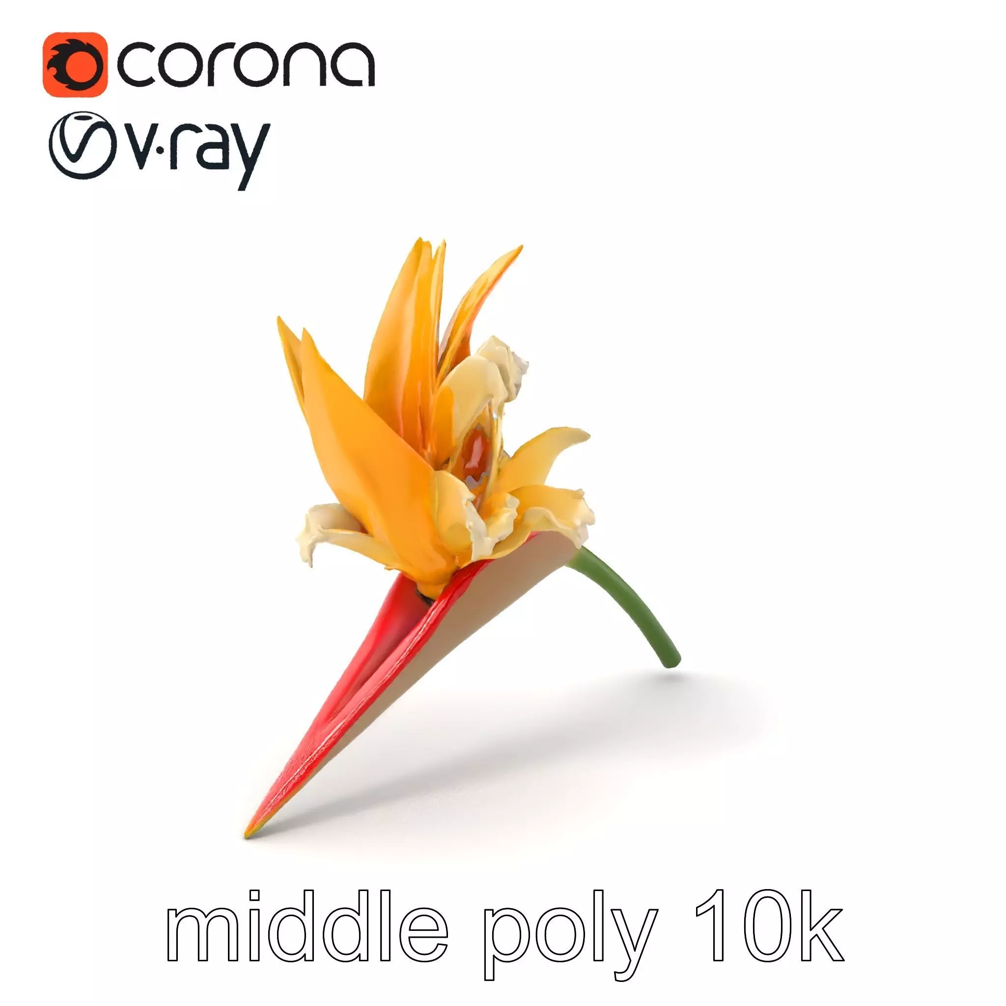 Double Strelitzia Flower Intricate Texture model pack Low-poly 3D model_0