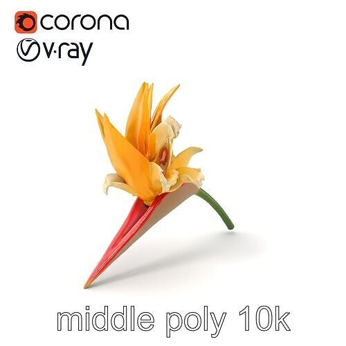Double Strelitzia Flower Intricate Texture model pack Low-poly 3D model