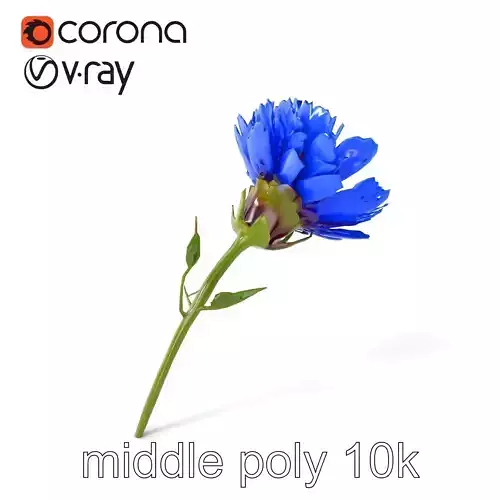 Alpine Cornflower Elegance model pack Low-poly 3D model