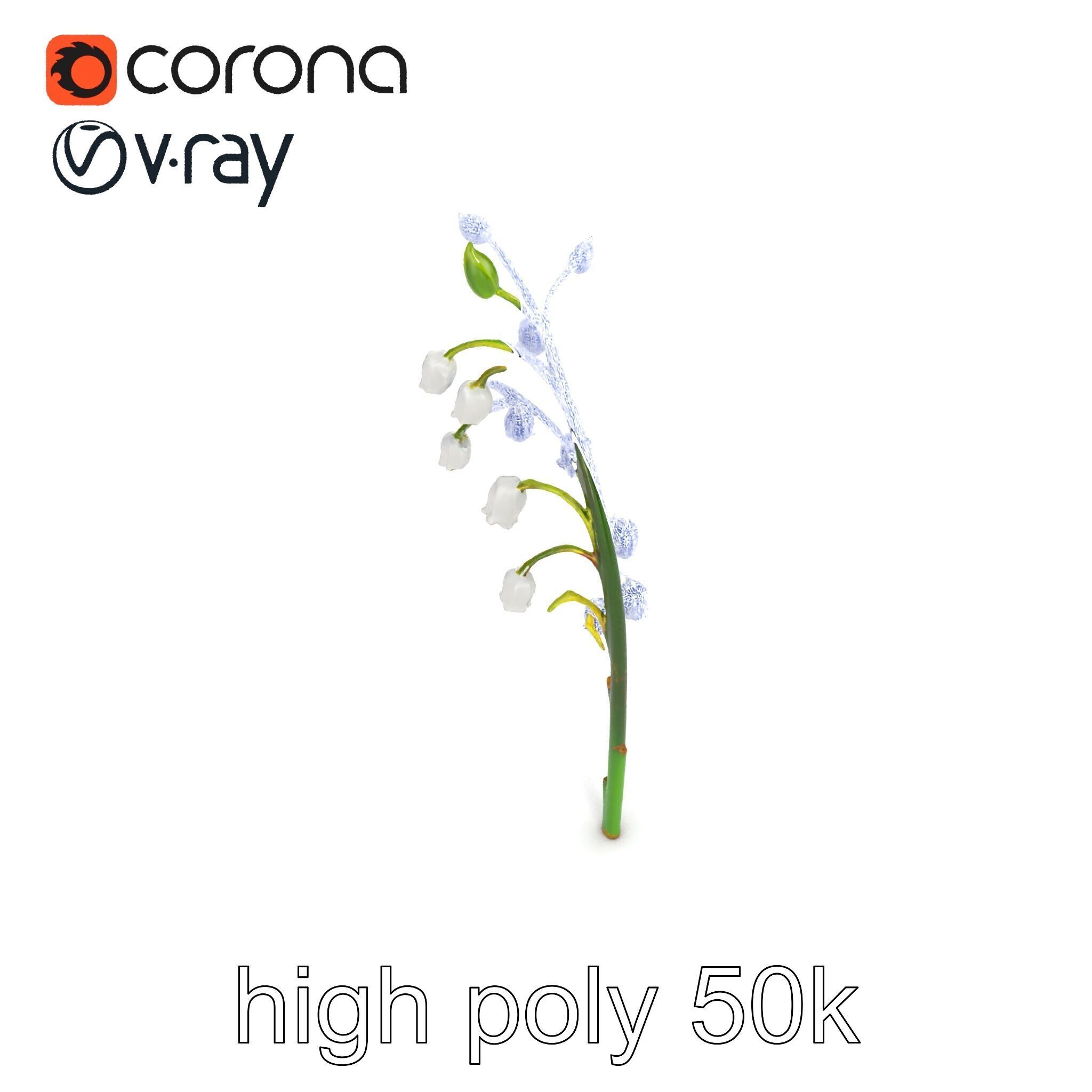 Lily of the Valley Floral Scene model pack Low-poly 3D model_16
