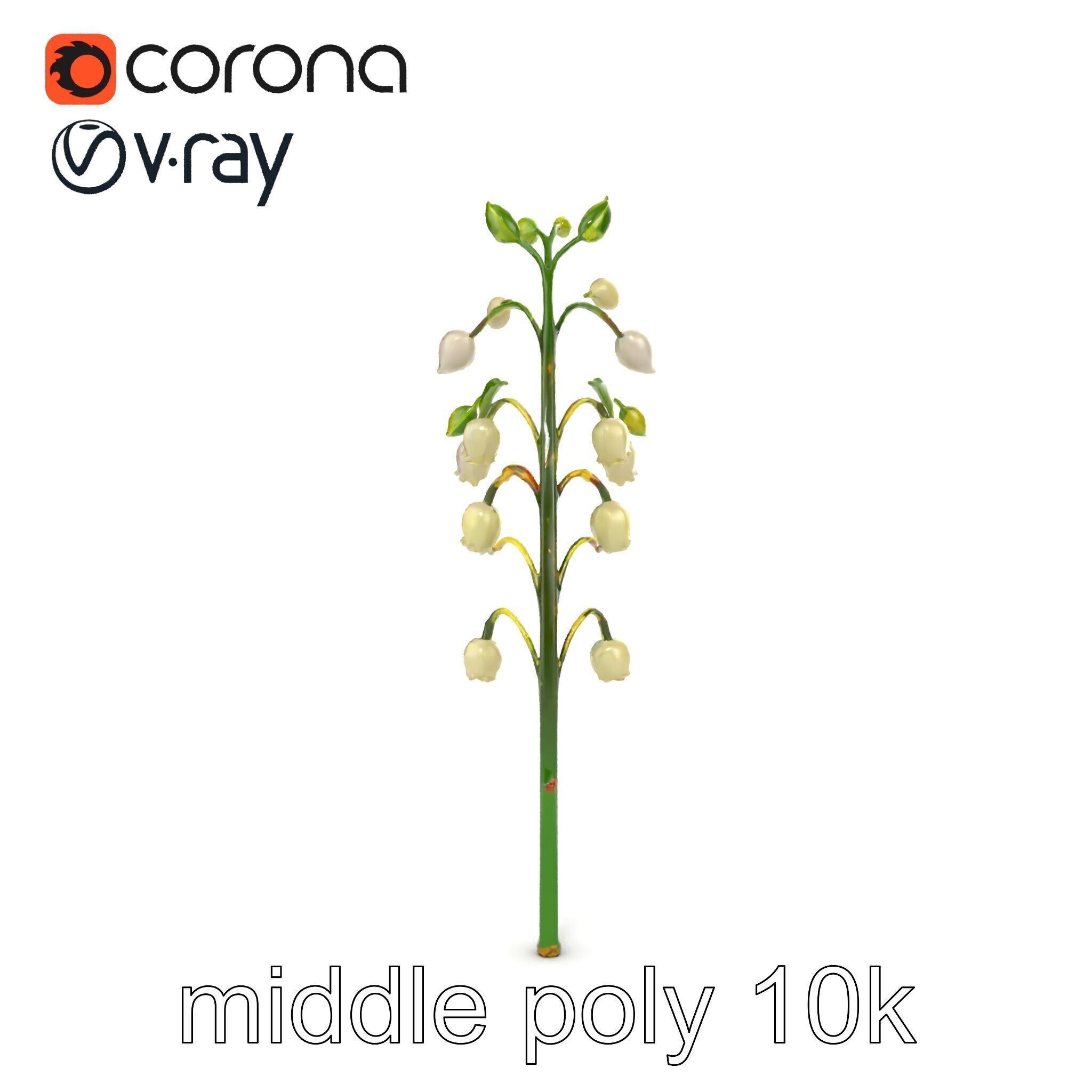 Lily of the Valley Floral Scene model pack Low-poly 3D model_27