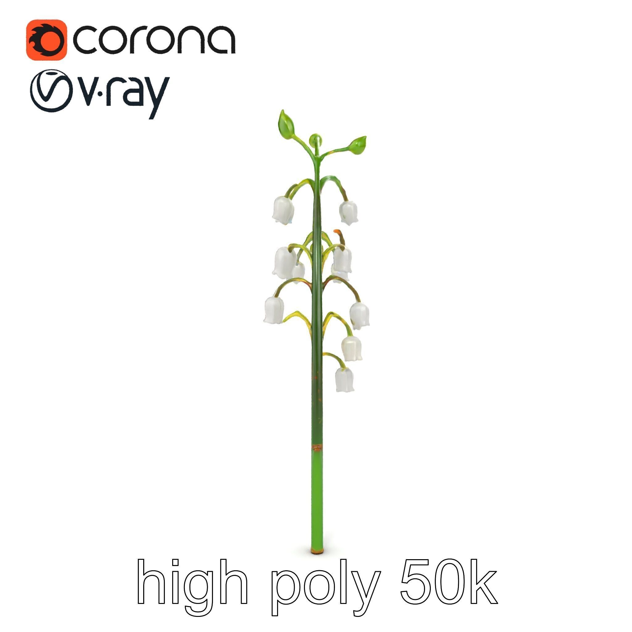Lily of the Valley Floral Scene model pack Low-poly 3D model_12