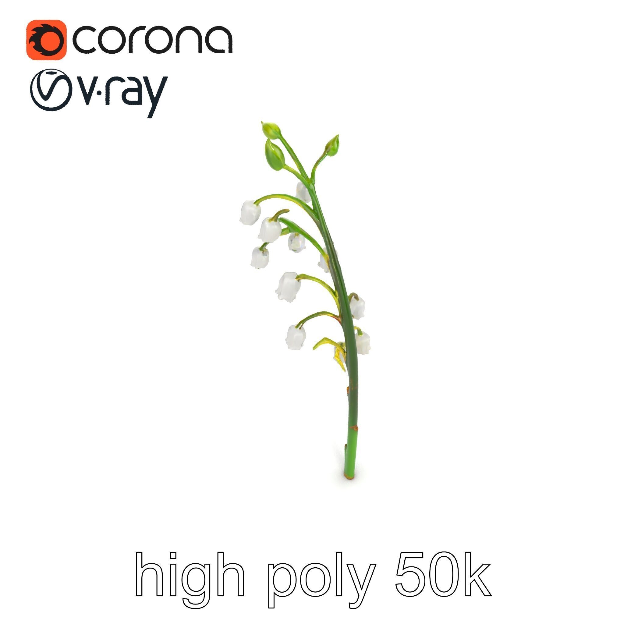 Lily of the Valley Floral Scene model pack Low-poly 3D model_20