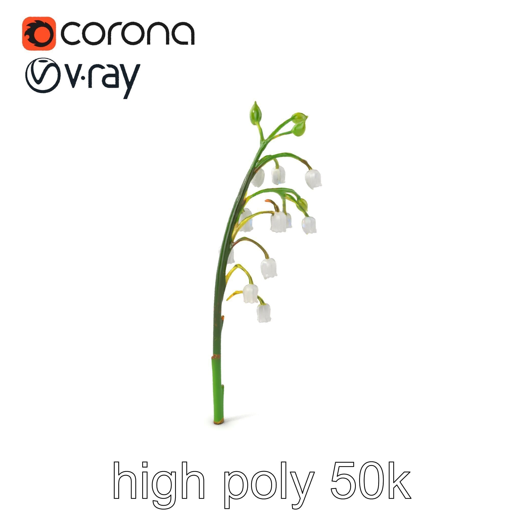 Lily of the Valley Floral Scene model pack Low-poly 3D model_2