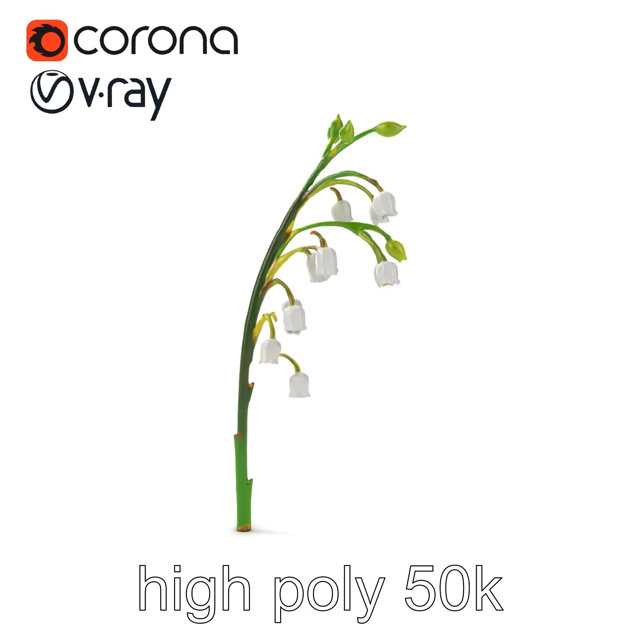 Lily of the Valley Floral Scene model pack Low-poly 3D model_30