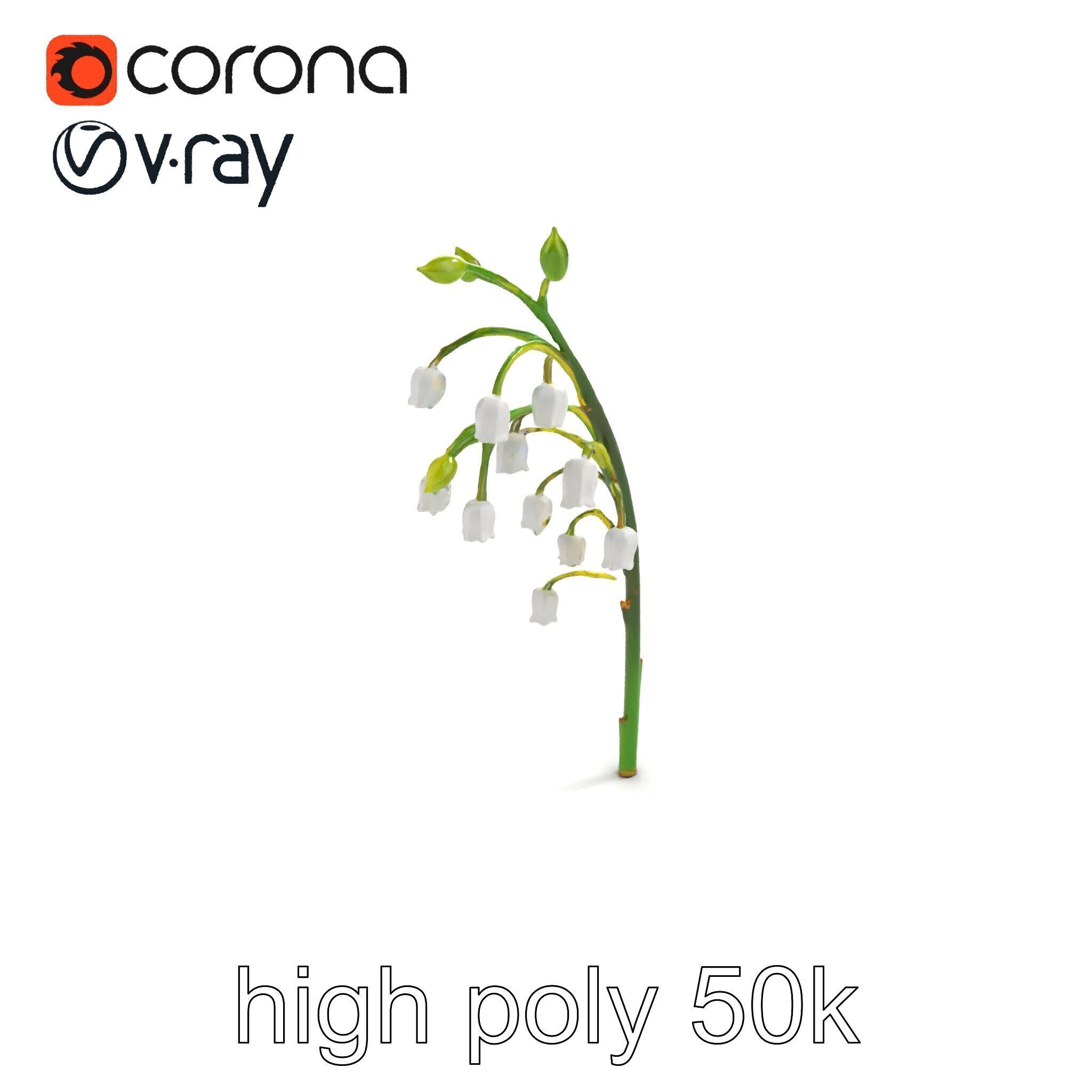 Lily of the Valley Floral Scene model pack Low-poly 3D model_9