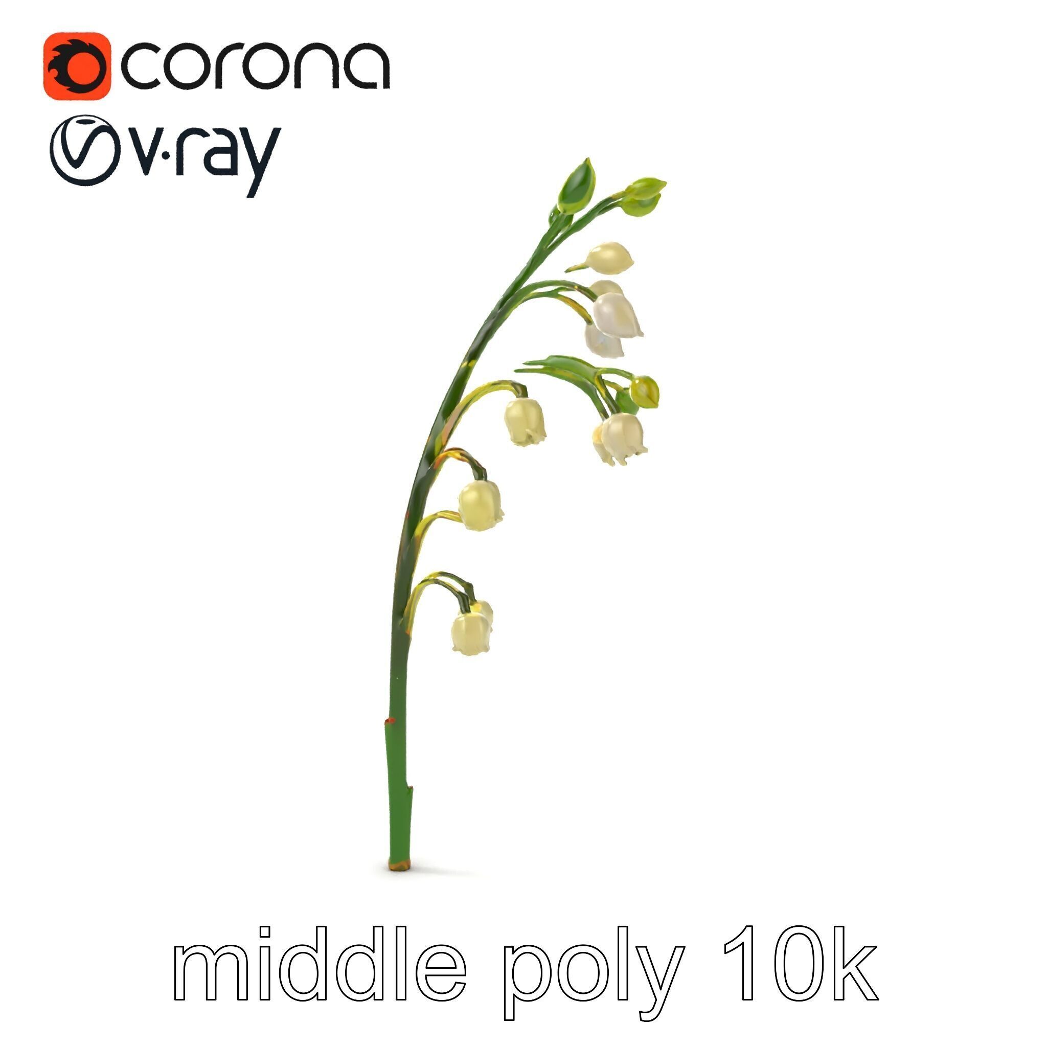 Lily of the Valley Floral Scene model pack Low-poly 3D model_26