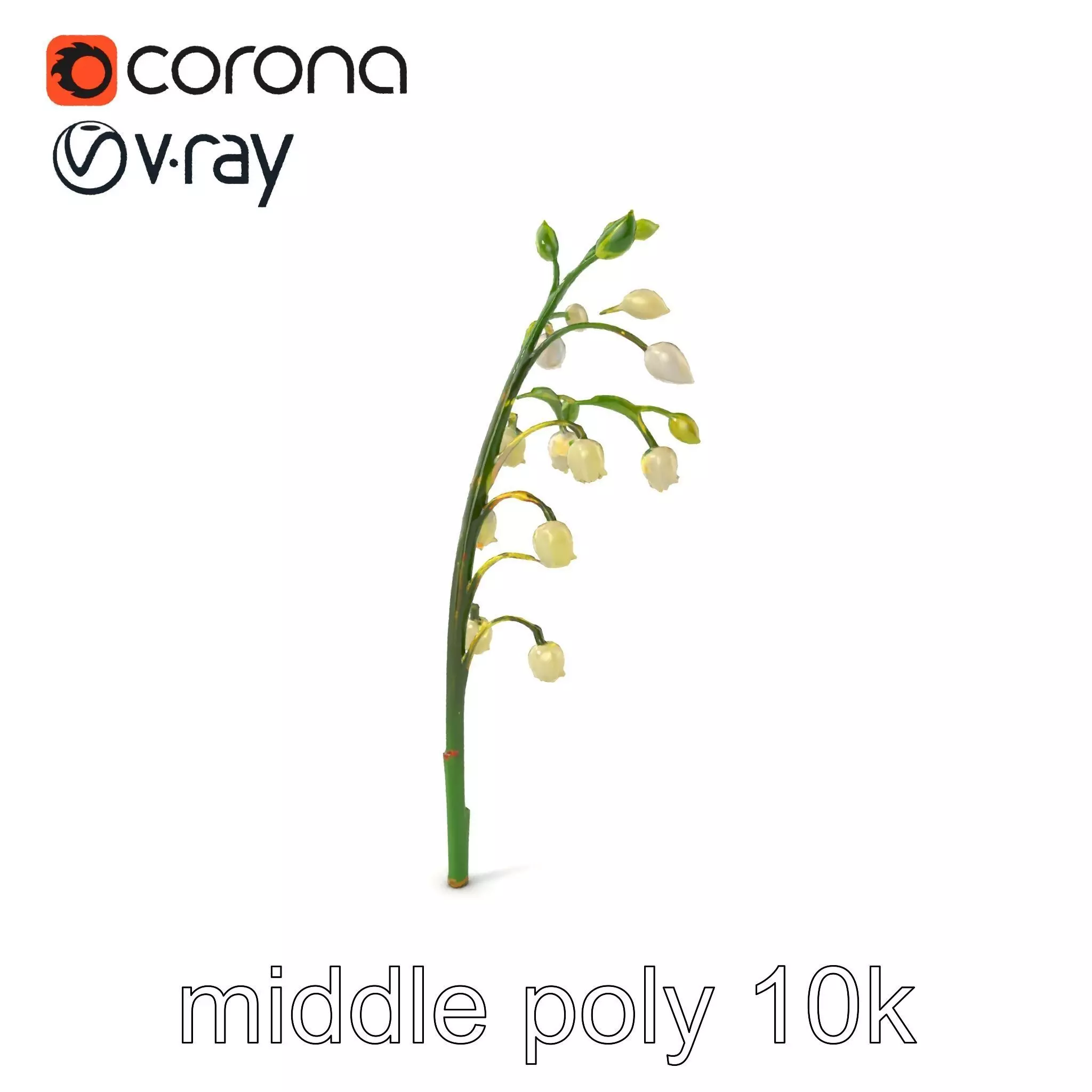 Lily of the Valley Floral Scene model pack Low-poly 3D model_0