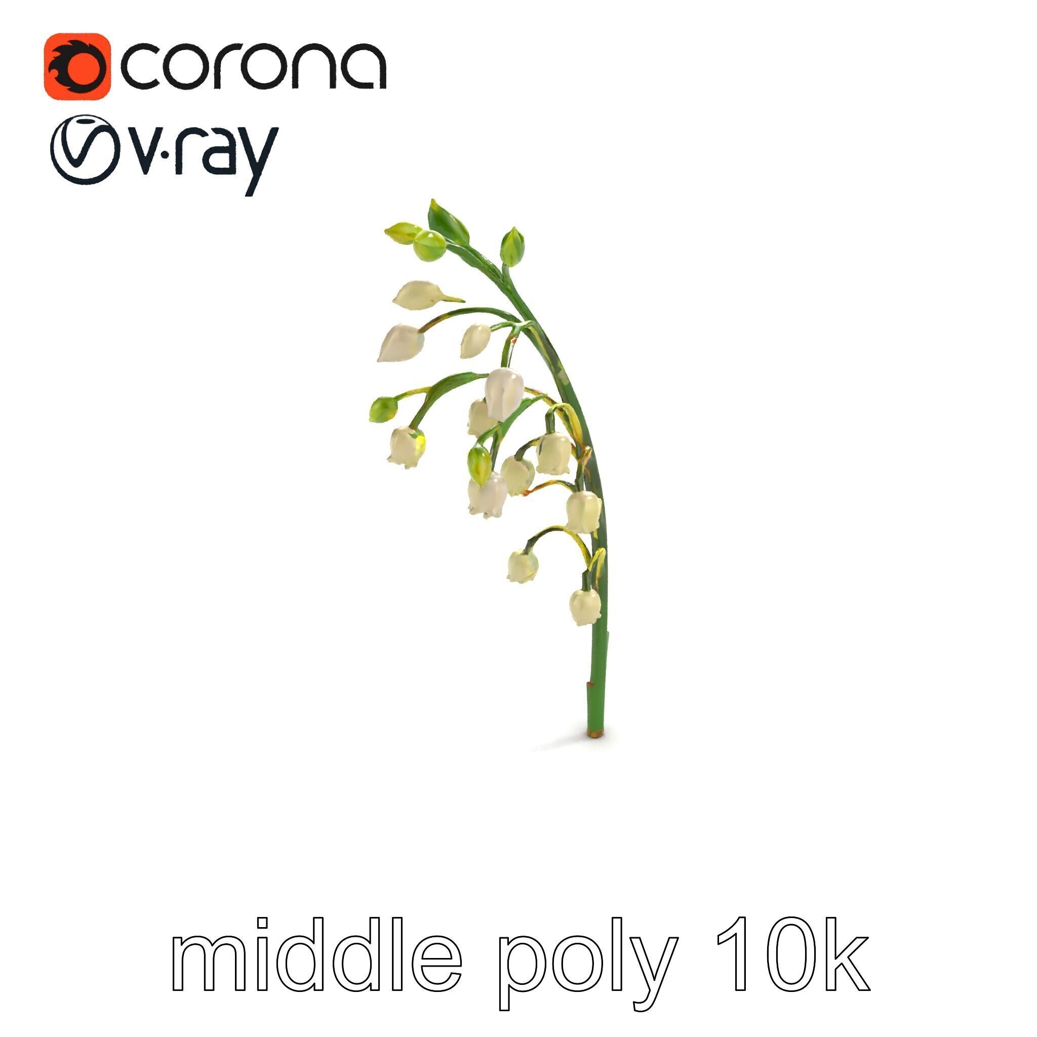 Lily of the Valley Floral Scene model pack Low-poly 3D model_7