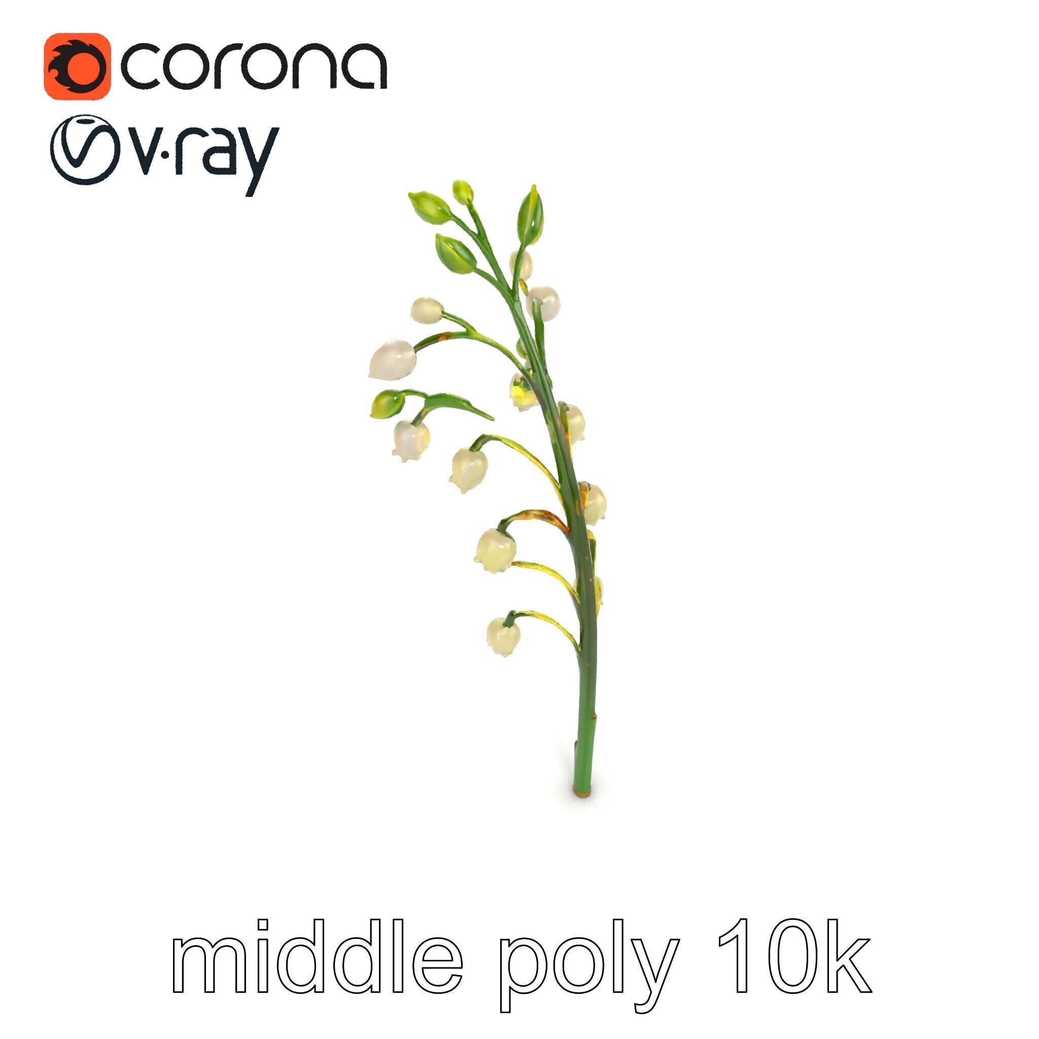 Lily of the Valley Floral Scene model pack Low-poly 3D model_23