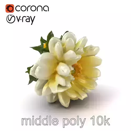 Dianthus White Blossom Detailed Model Pack Low-poly 3D model