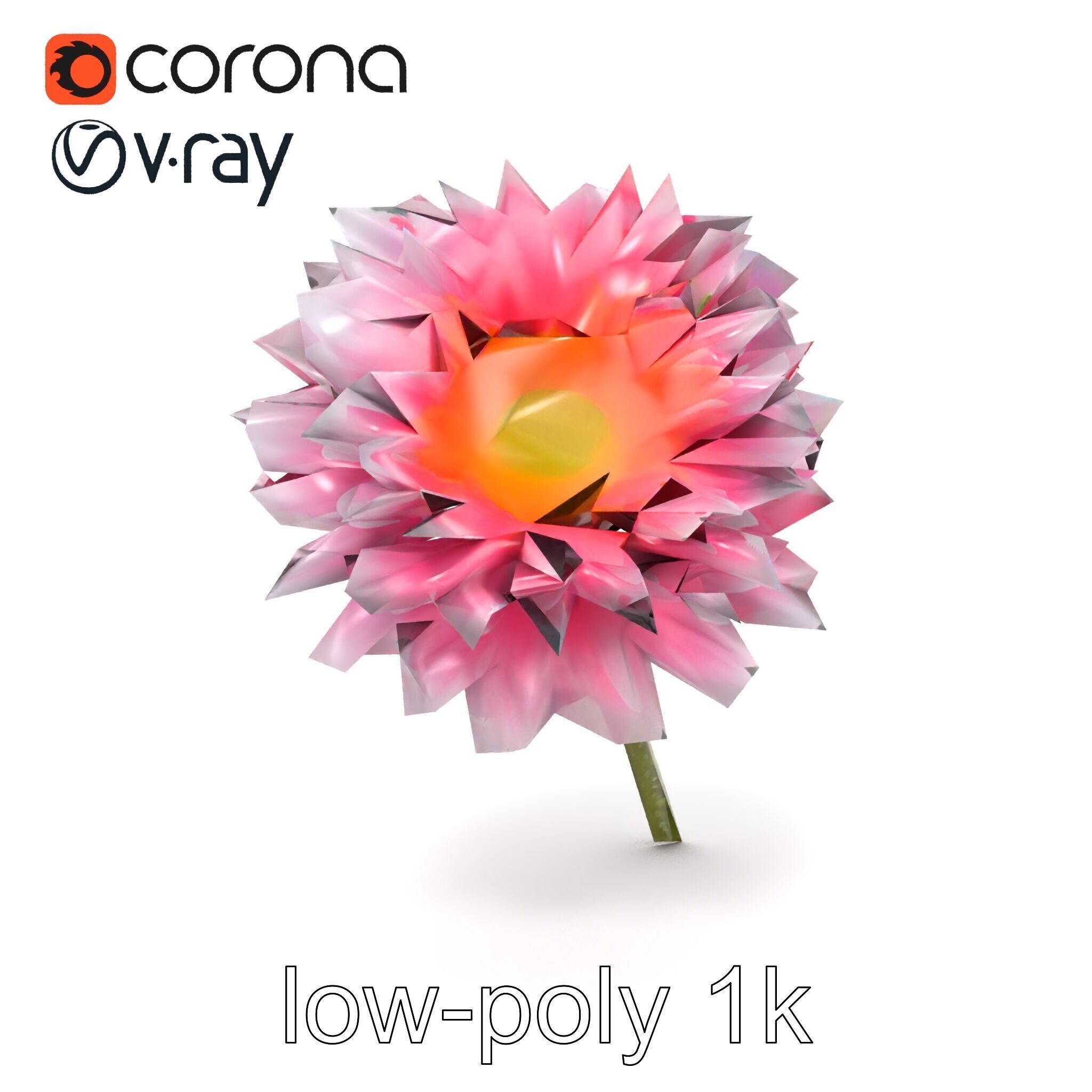 Leucanthemum Bicolor Gradient Petals model pack Low-poly 3D model_14