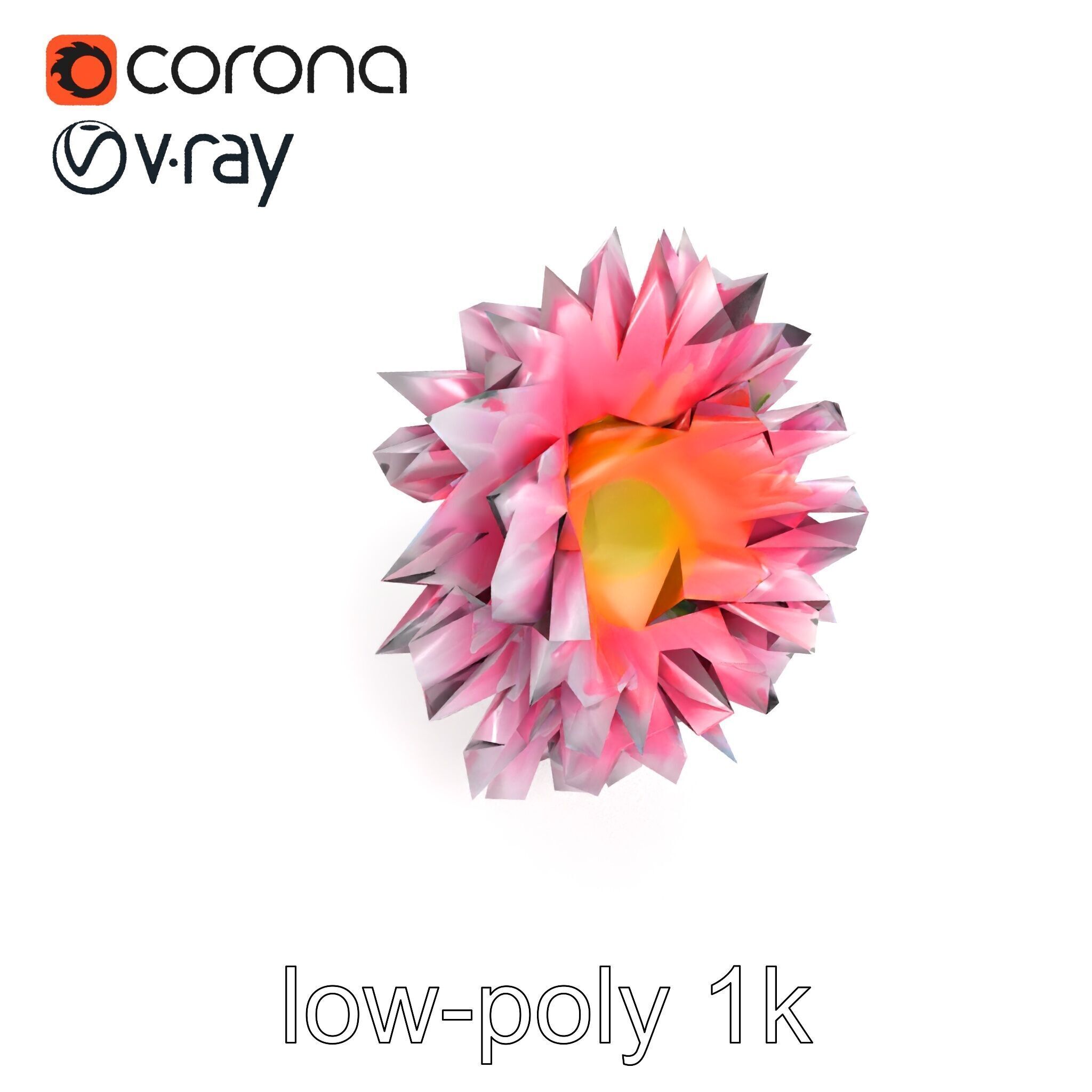 Leucanthemum Bicolor Gradient Petals model pack Low-poly 3D model_30