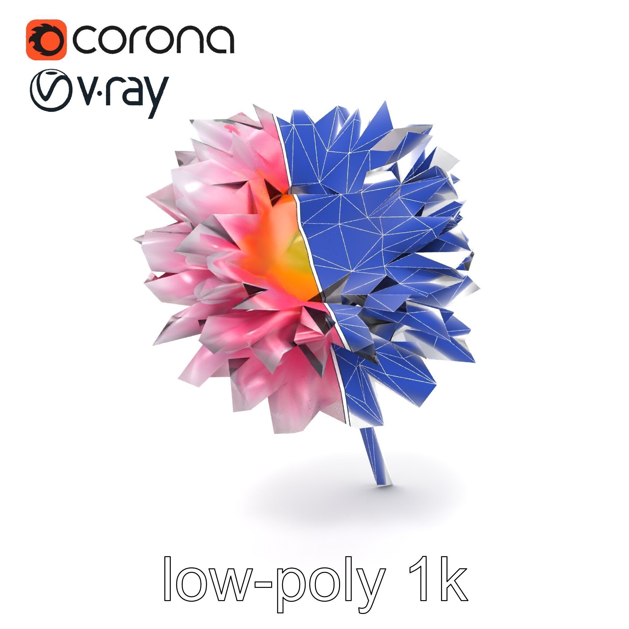 Leucanthemum Bicolor Gradient Petals model pack Low-poly 3D model_29