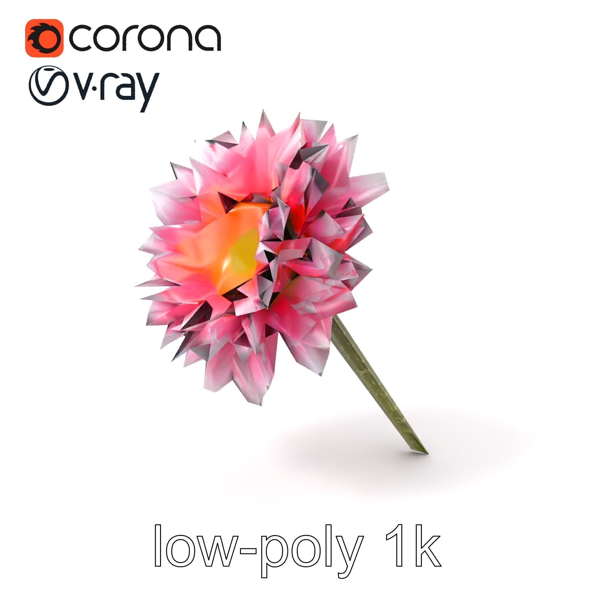Leucanthemum Bicolor Gradient Petals model pack Low-poly 3D model_4
