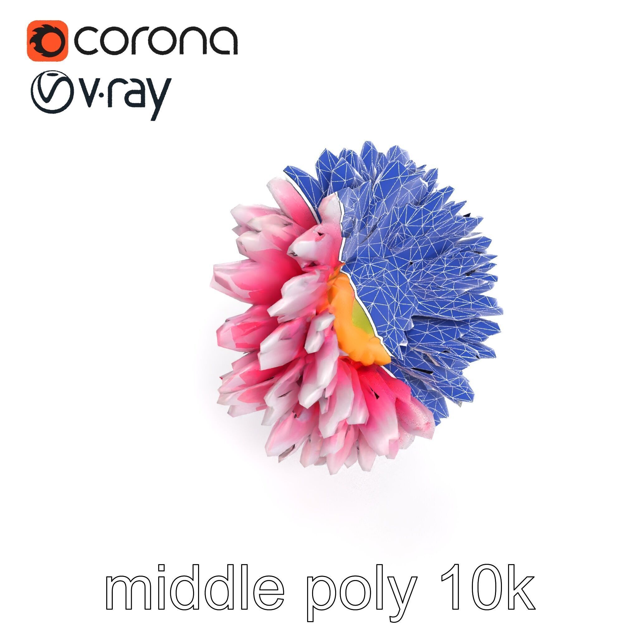 Leucanthemum Bicolor Gradient Petals model pack Low-poly 3D model_25