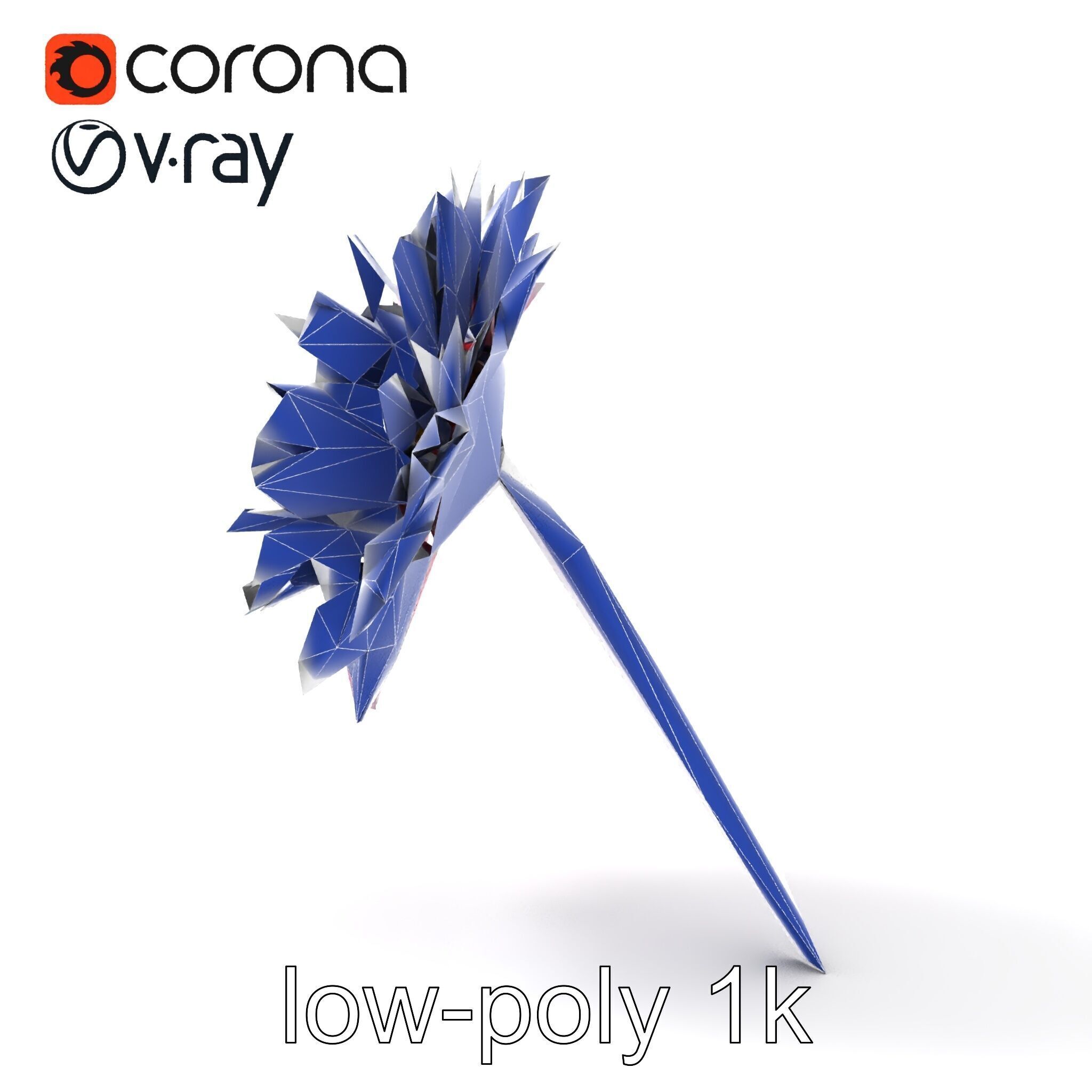 Leucanthemum Bicolor Gradient Petals model pack Low-poly 3D model_17