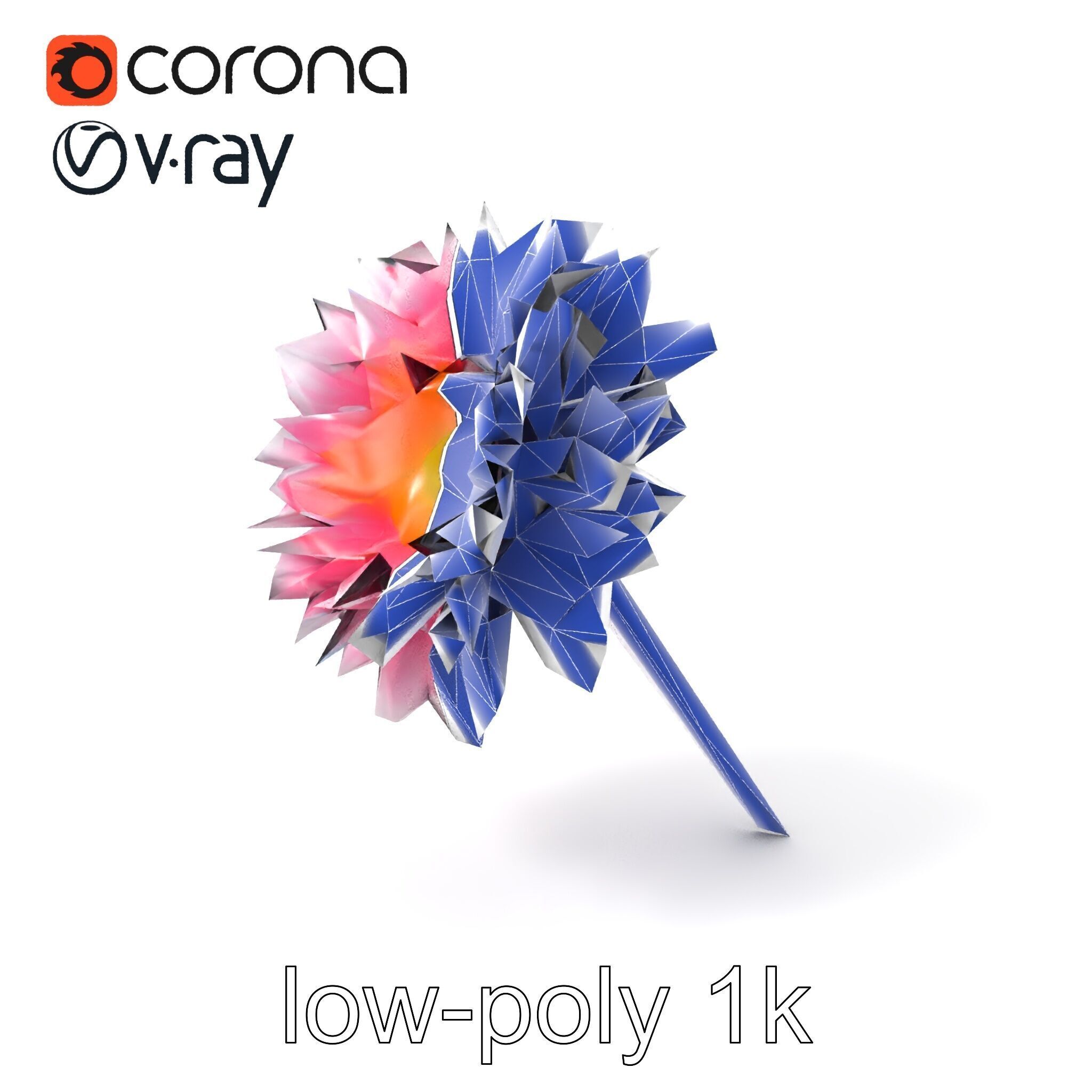 Leucanthemum Bicolor Gradient Petals model pack Low-poly 3D model_6