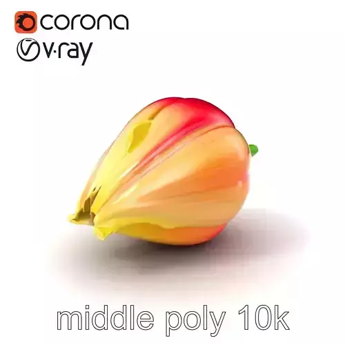 Fringed Tulip Flower Realistic model pack Low-poly 3D model