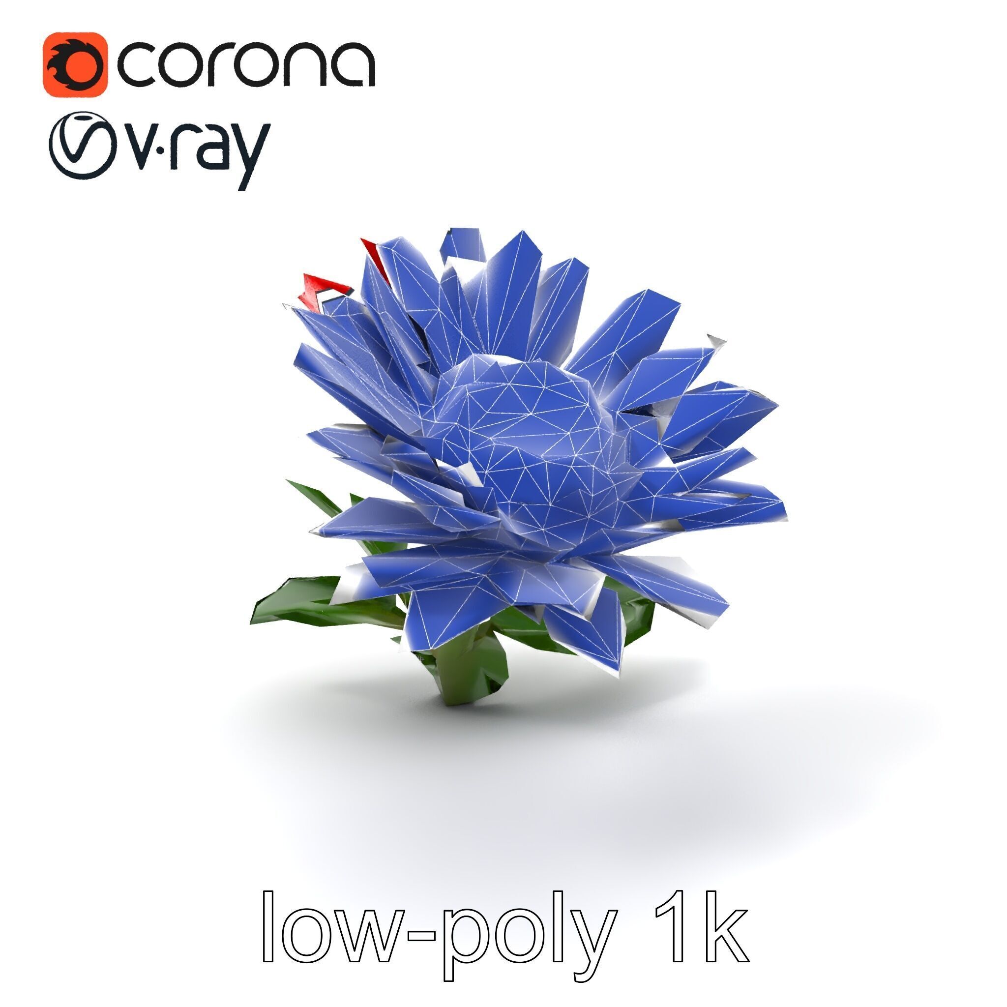 Leucanthemum Red Bloom Realistic Flower model pack Low-poly 3D model_7