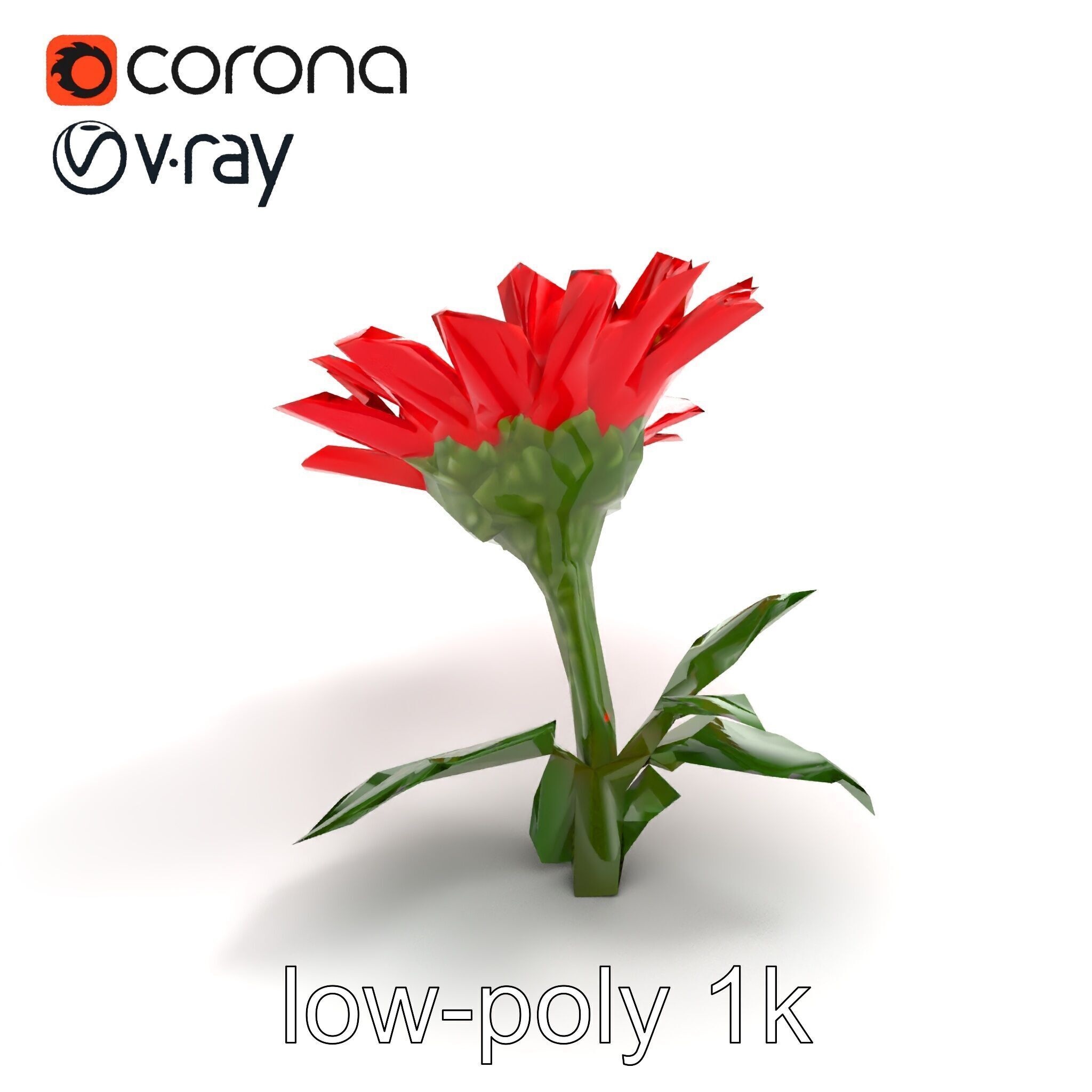 Leucanthemum Red Bloom Realistic Flower model pack Low-poly 3D model_9