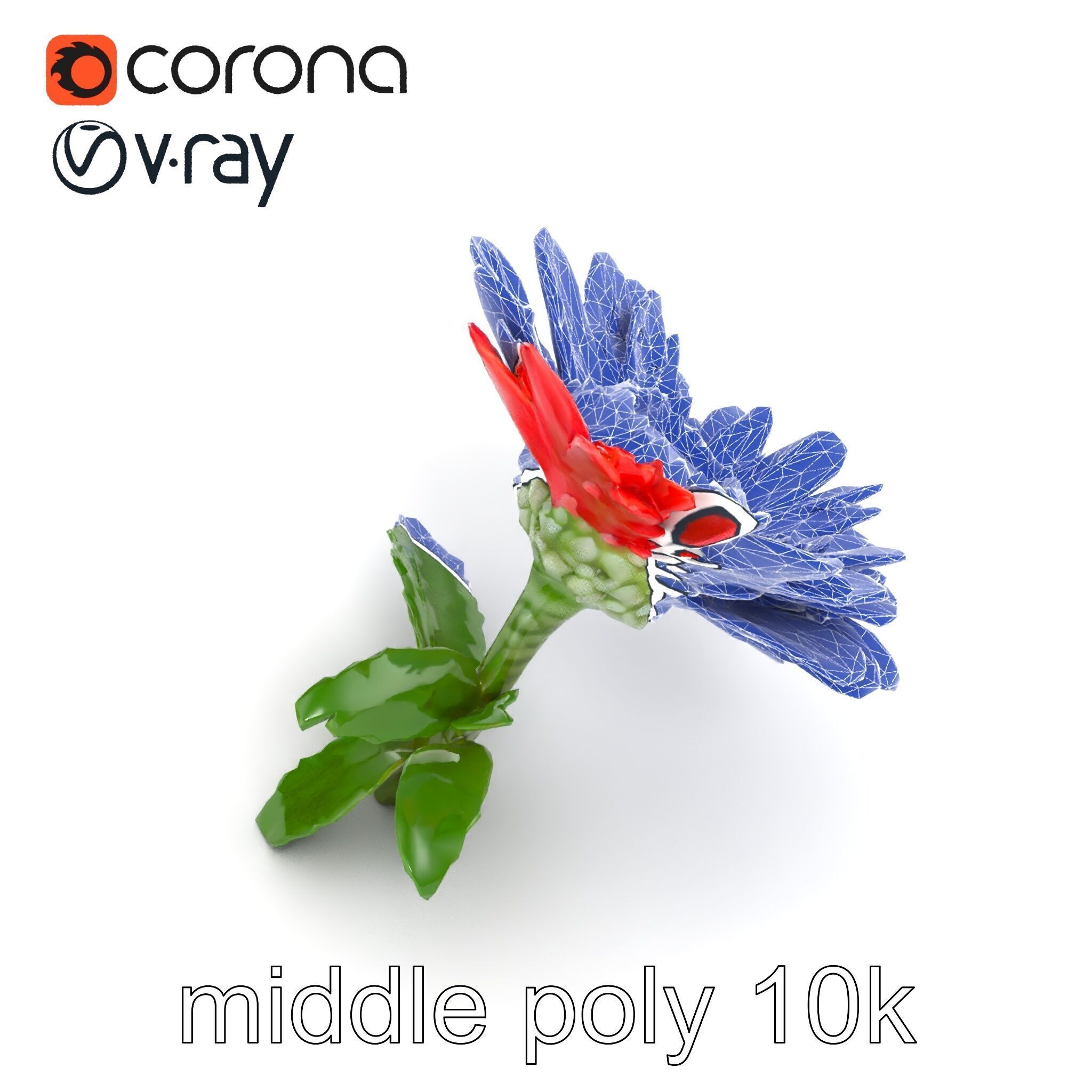 Leucanthemum Red Bloom Realistic Flower model pack Low-poly 3D model_14