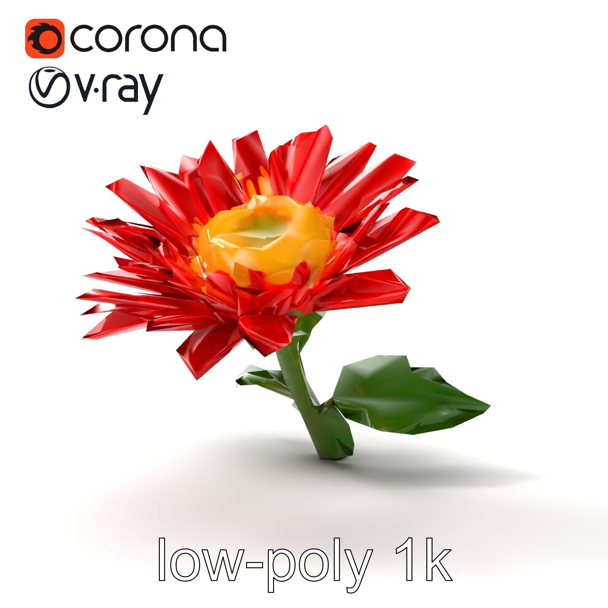 Leucanthemum Red Bloom Realistic Flower model pack Low-poly 3D model_15