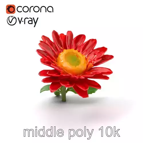 Leucanthemum Red Bloom Realistic Flower model pack Low-poly 3D model