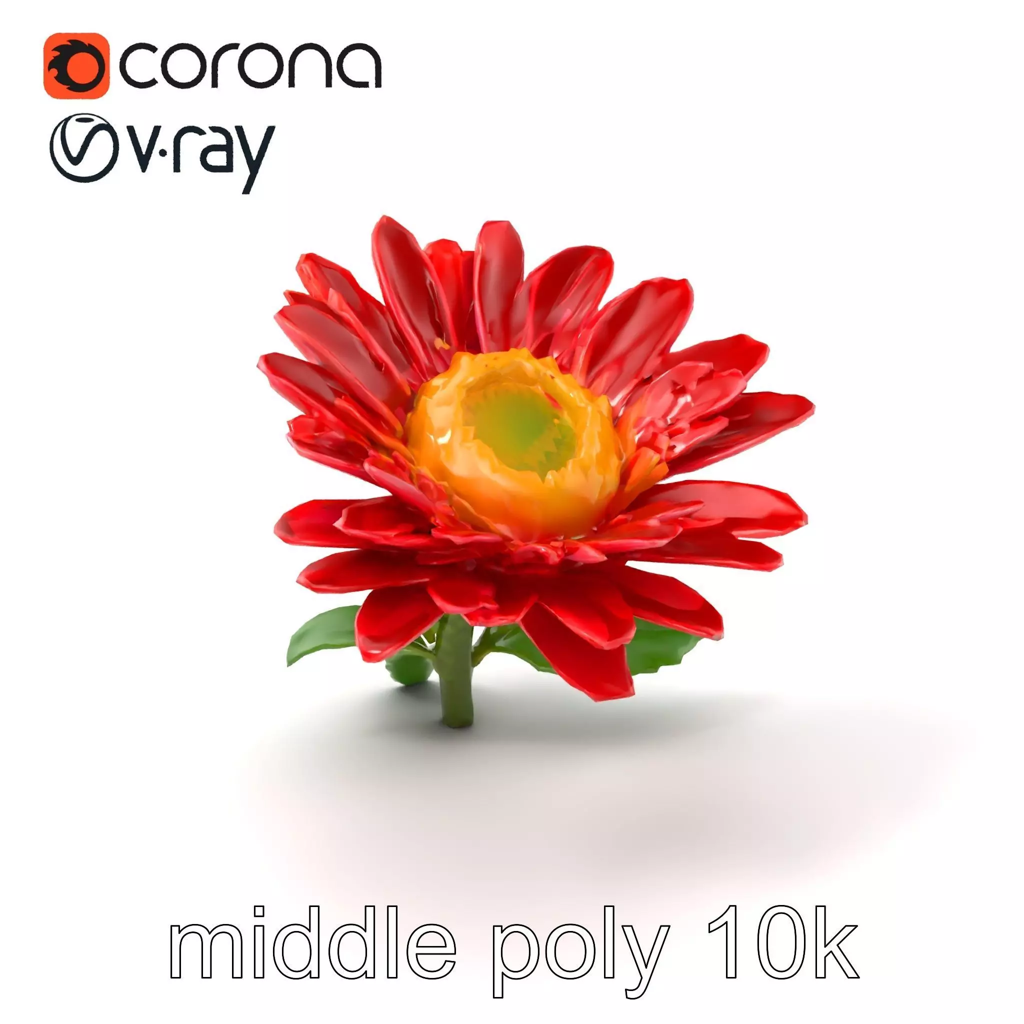 Leucanthemum Red Bloom Realistic Flower model pack Low-poly 3D model_0