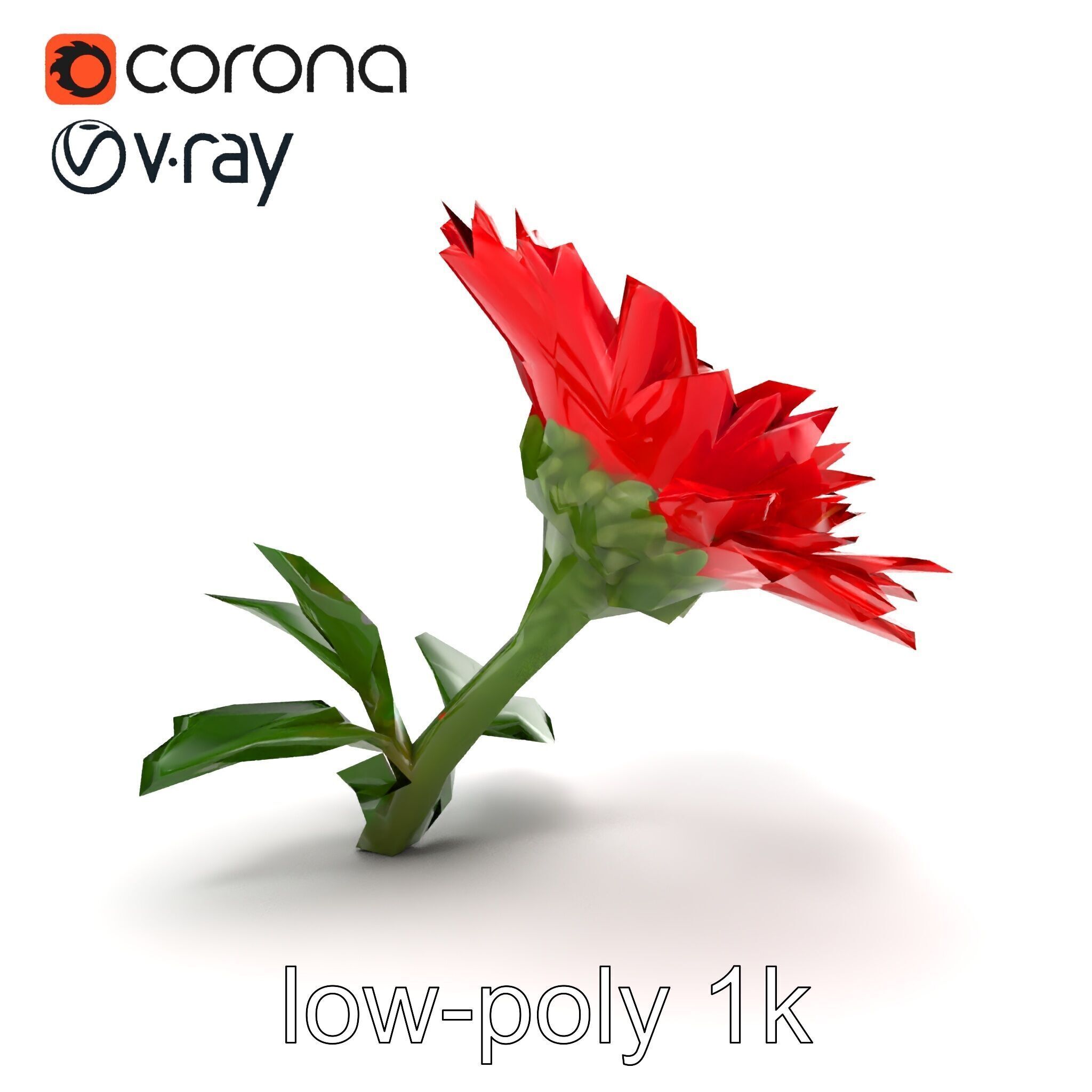 Leucanthemum Red Bloom Realistic Flower model pack Low-poly 3D model_13